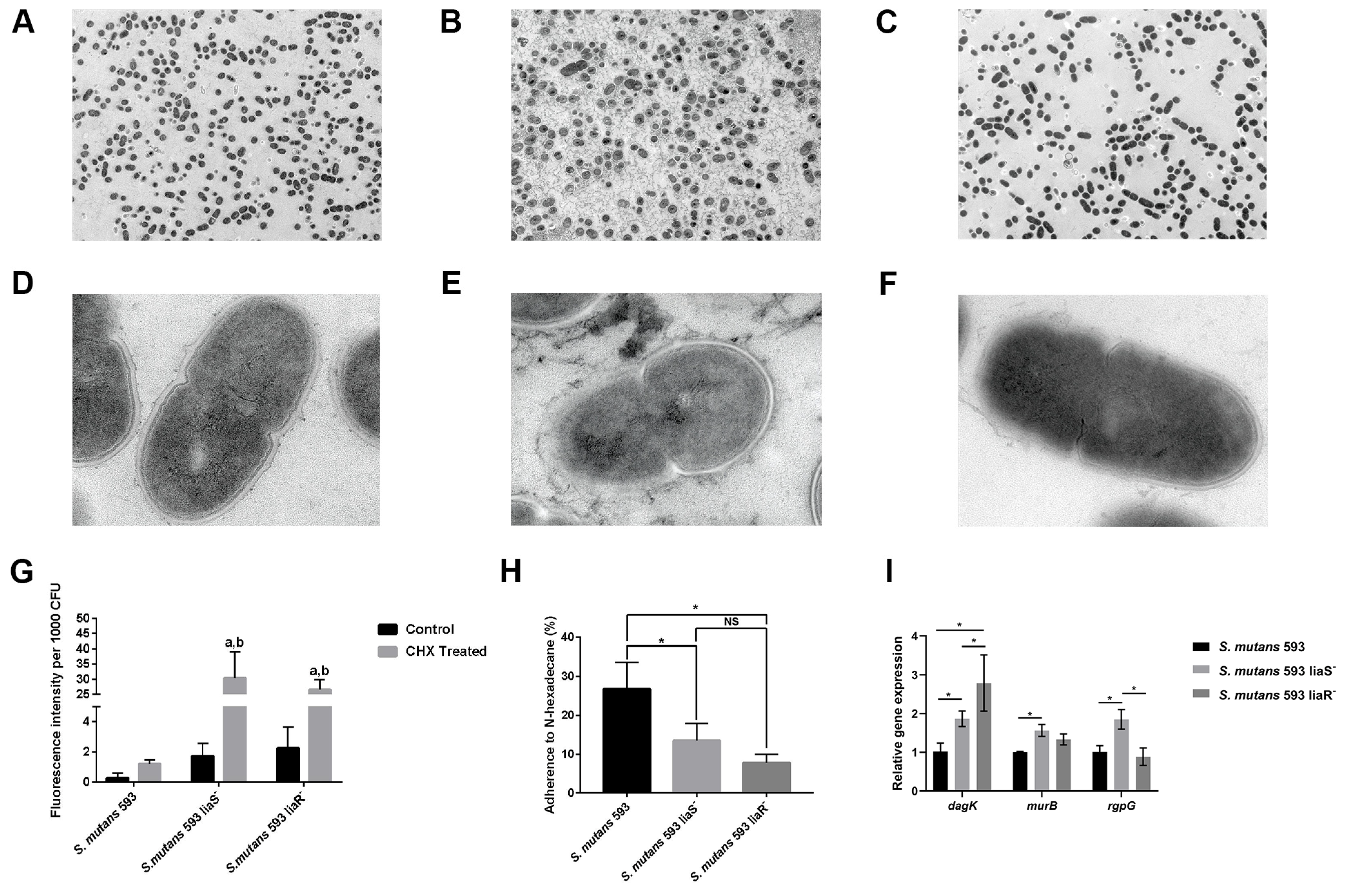 Microorganisms 12 00468 g004