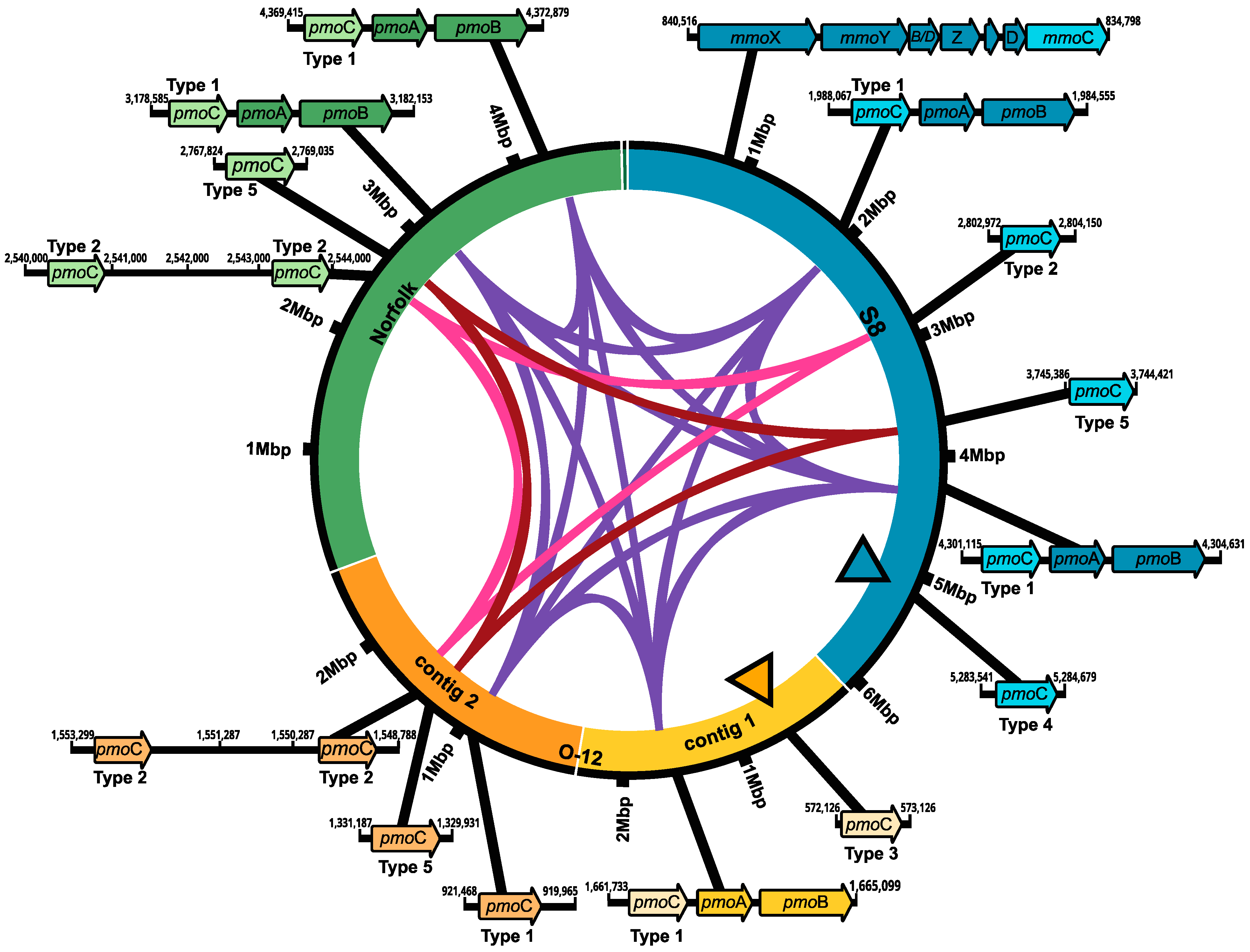 Microorganisms 12 00469 g002 Microorganisms 12 00469 g002