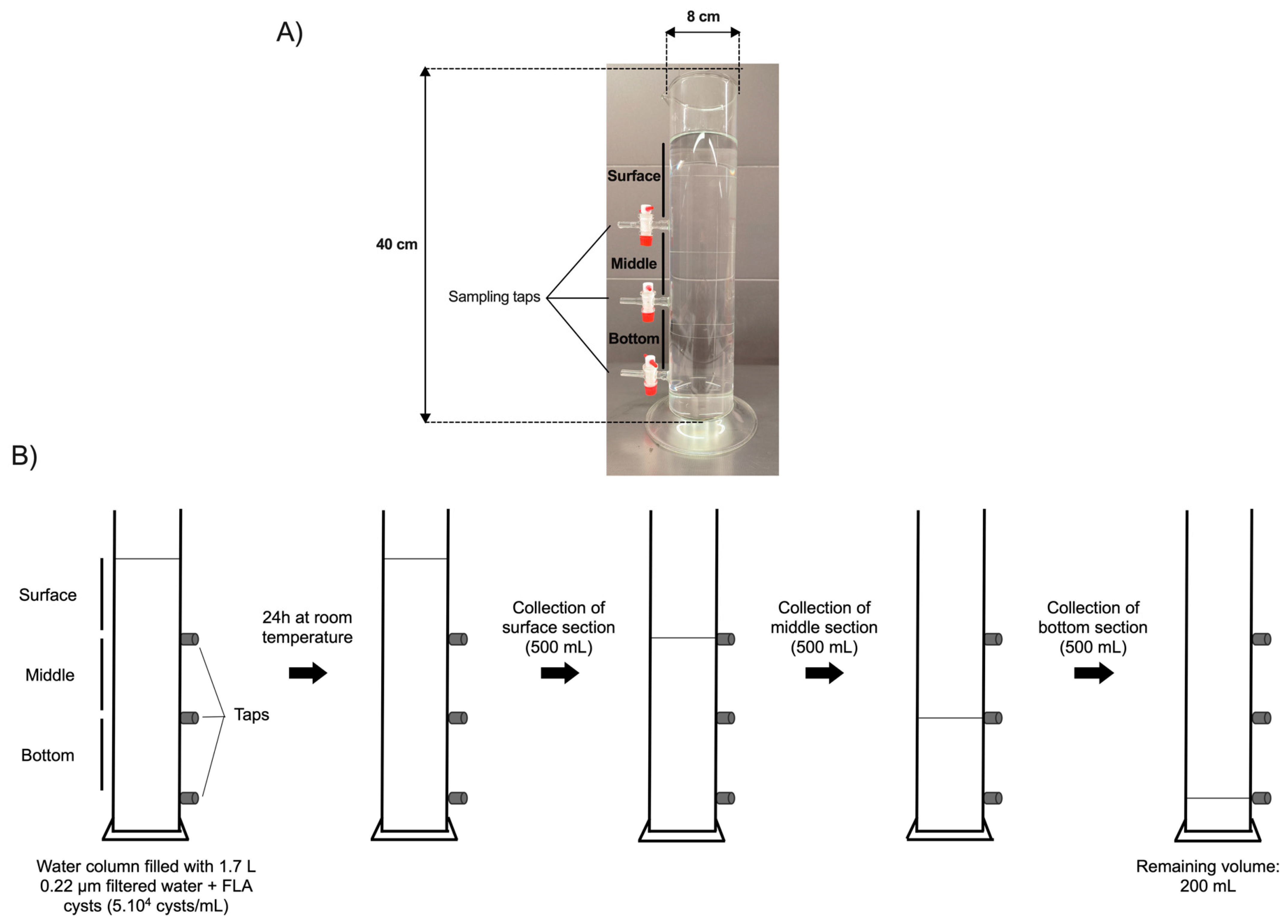 Microorganisms 12 00474 g001