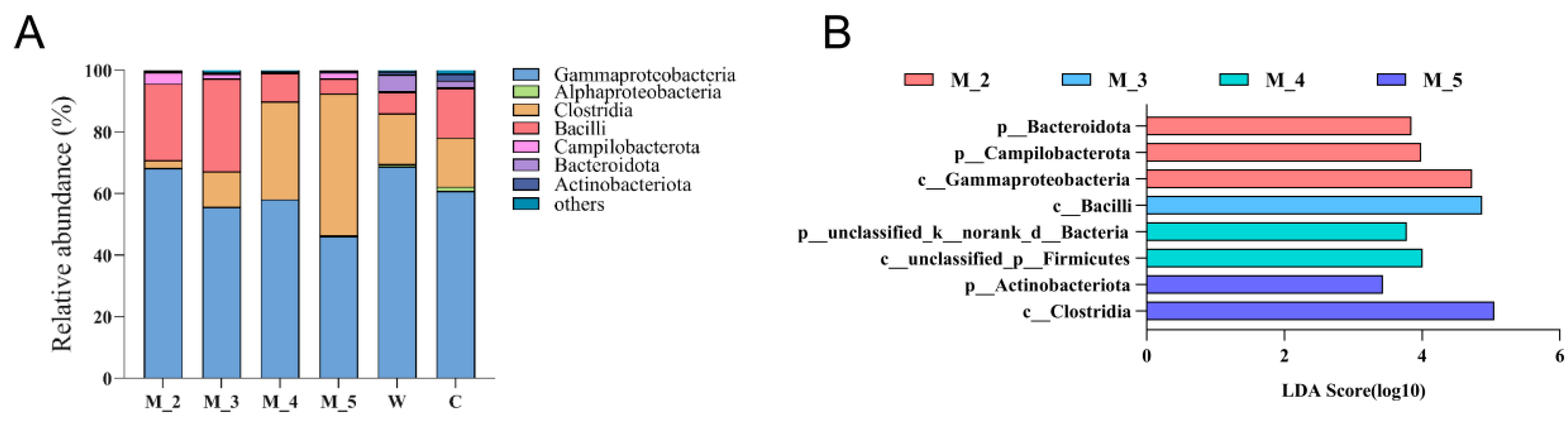 Microorganisms 12 00478 g001
