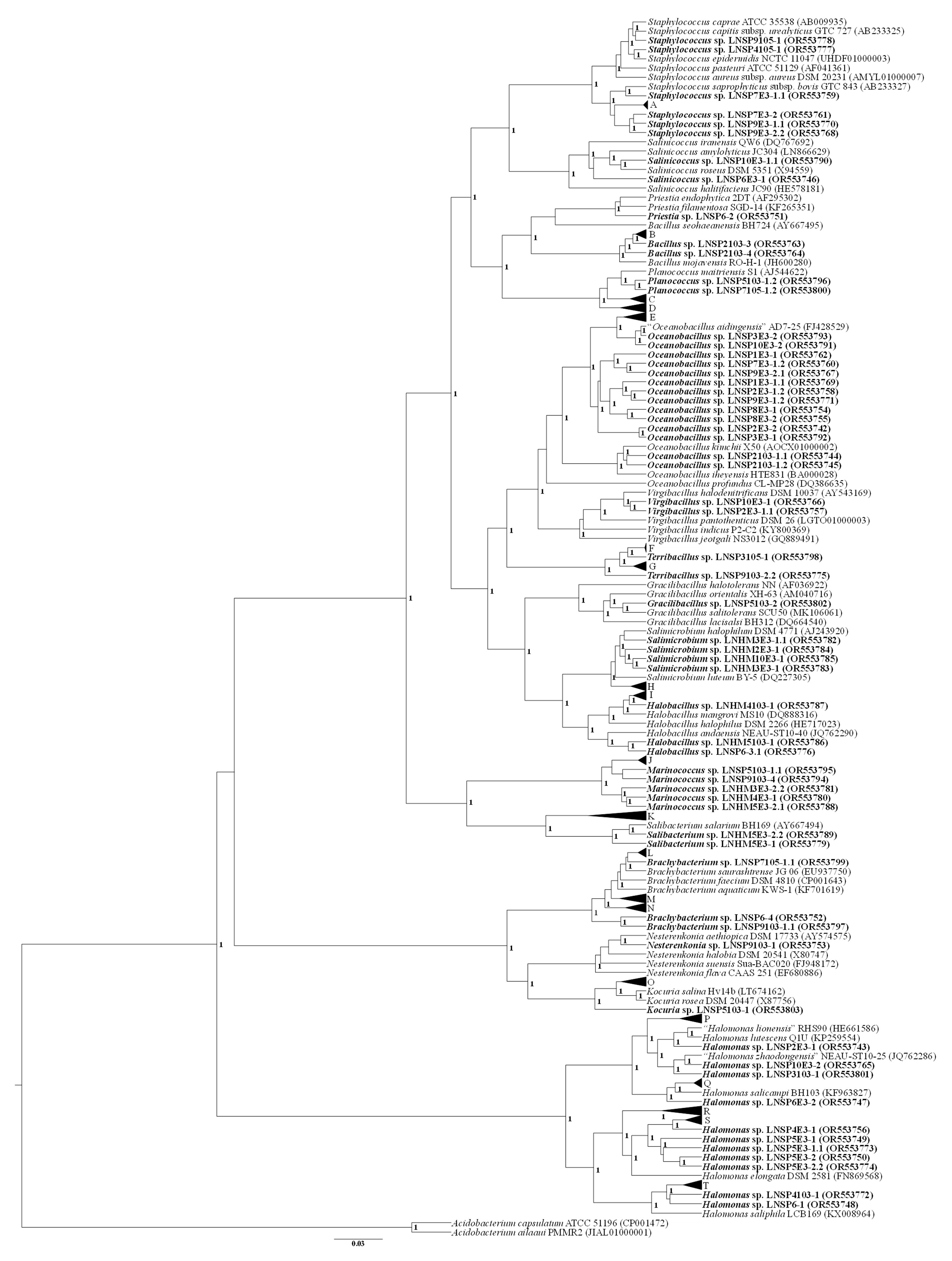 Microorganisms 12 00482 g001