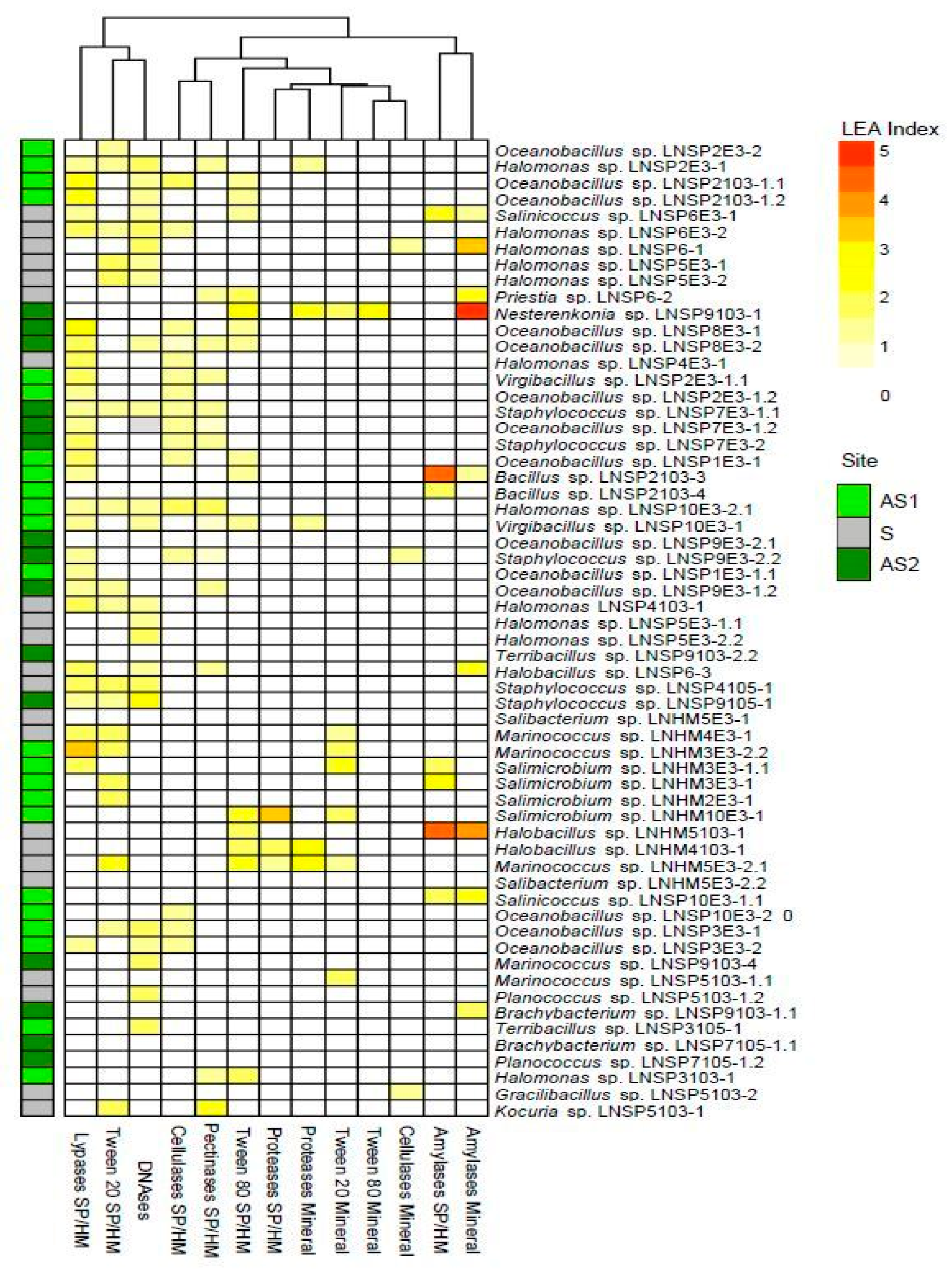 Microorganisms 12 00482 g003
