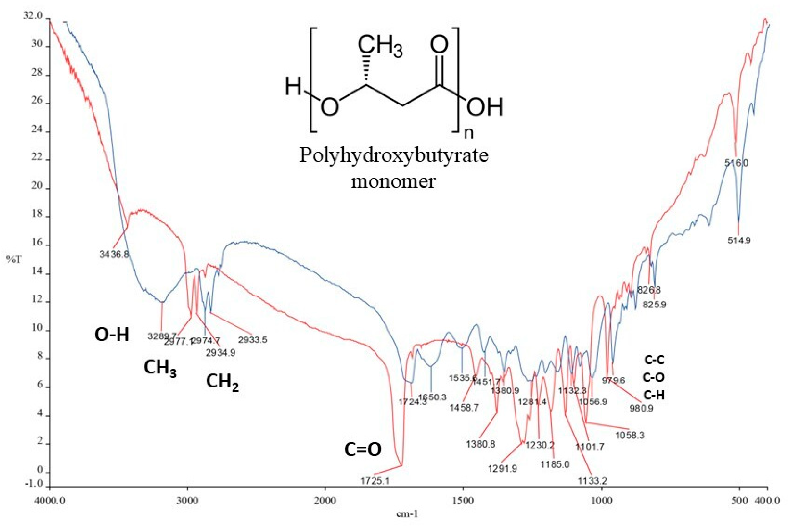 Microorganisms 12 00482 g004