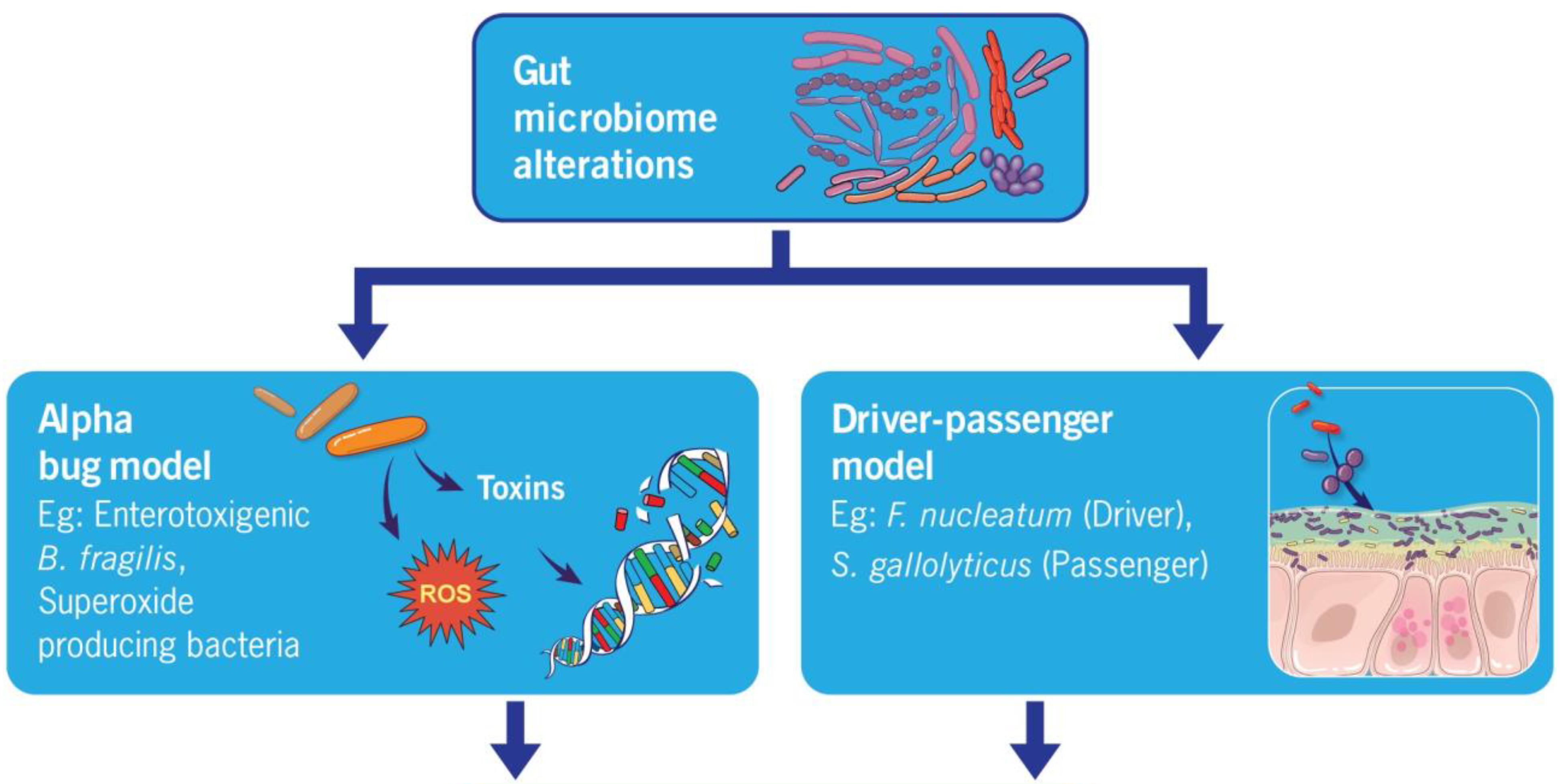 Microorganisms 12 00484 g001a