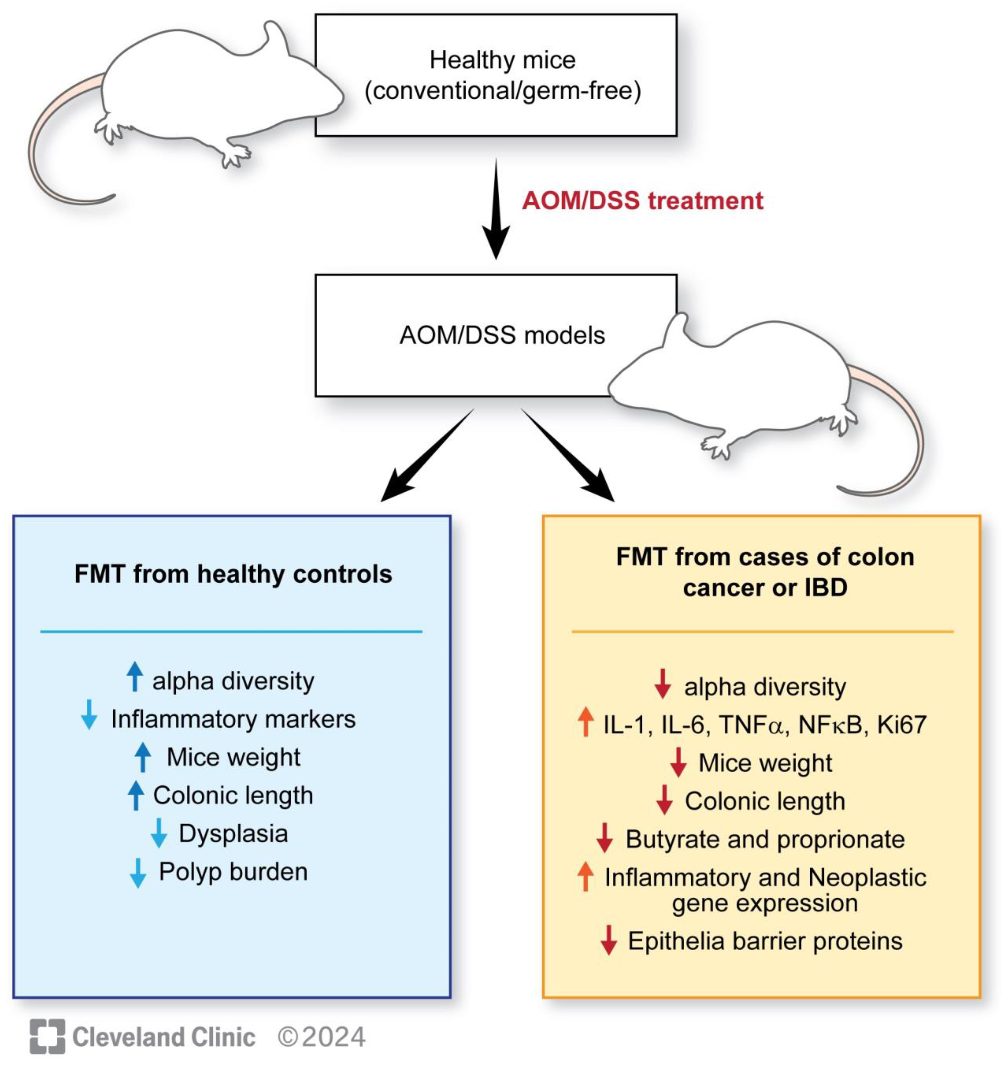 Microorganisms 12 00484 g002