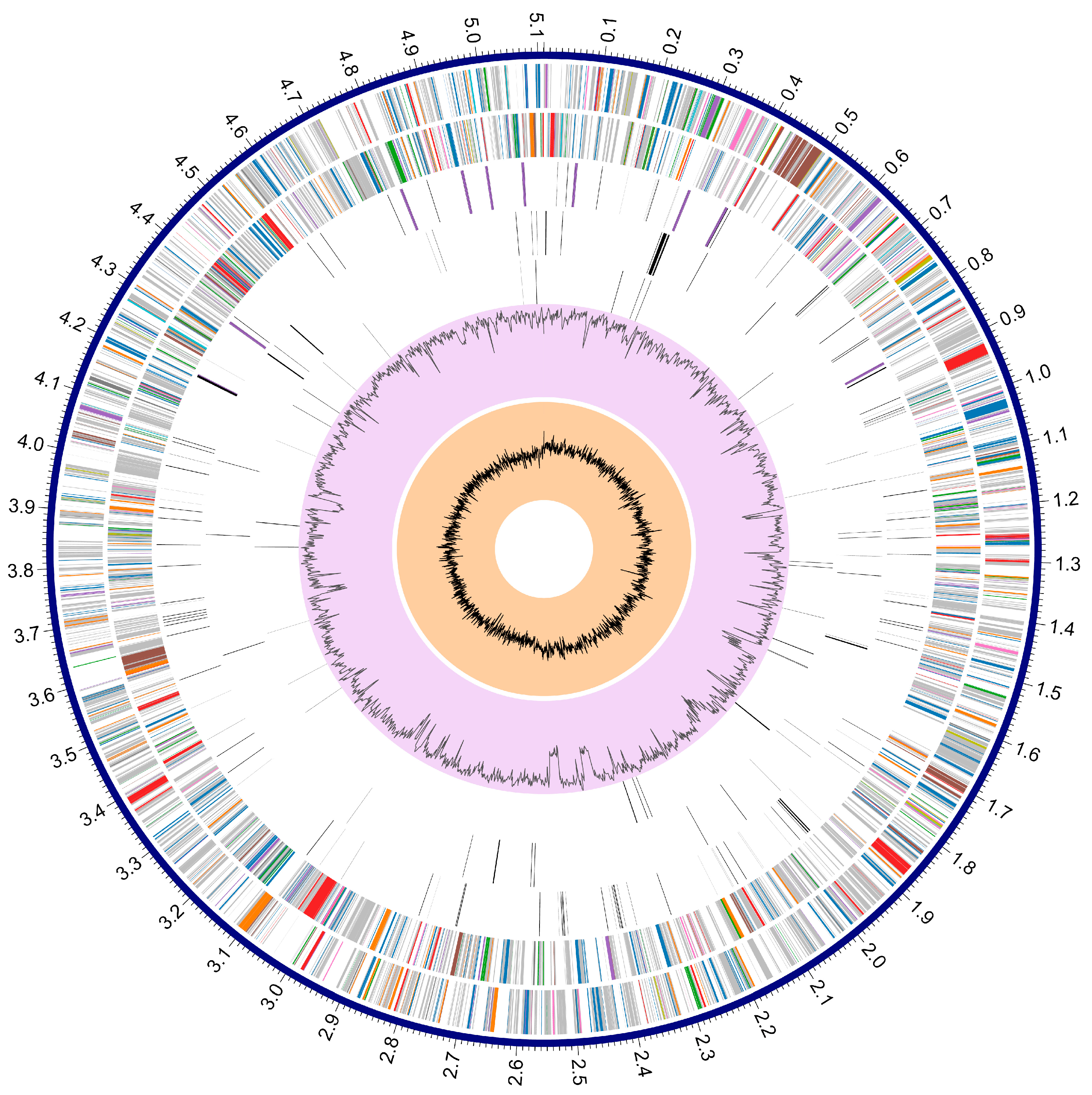 Microorganisms 12 00494 g001
