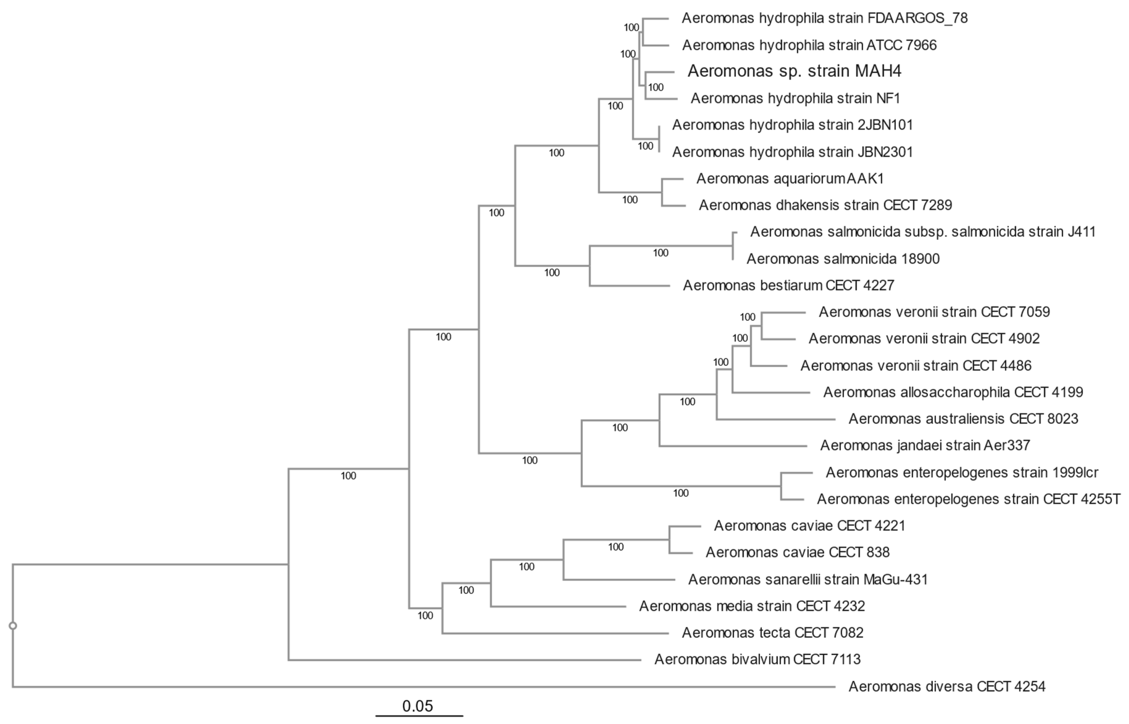 Microorganisms 12 00494 g002