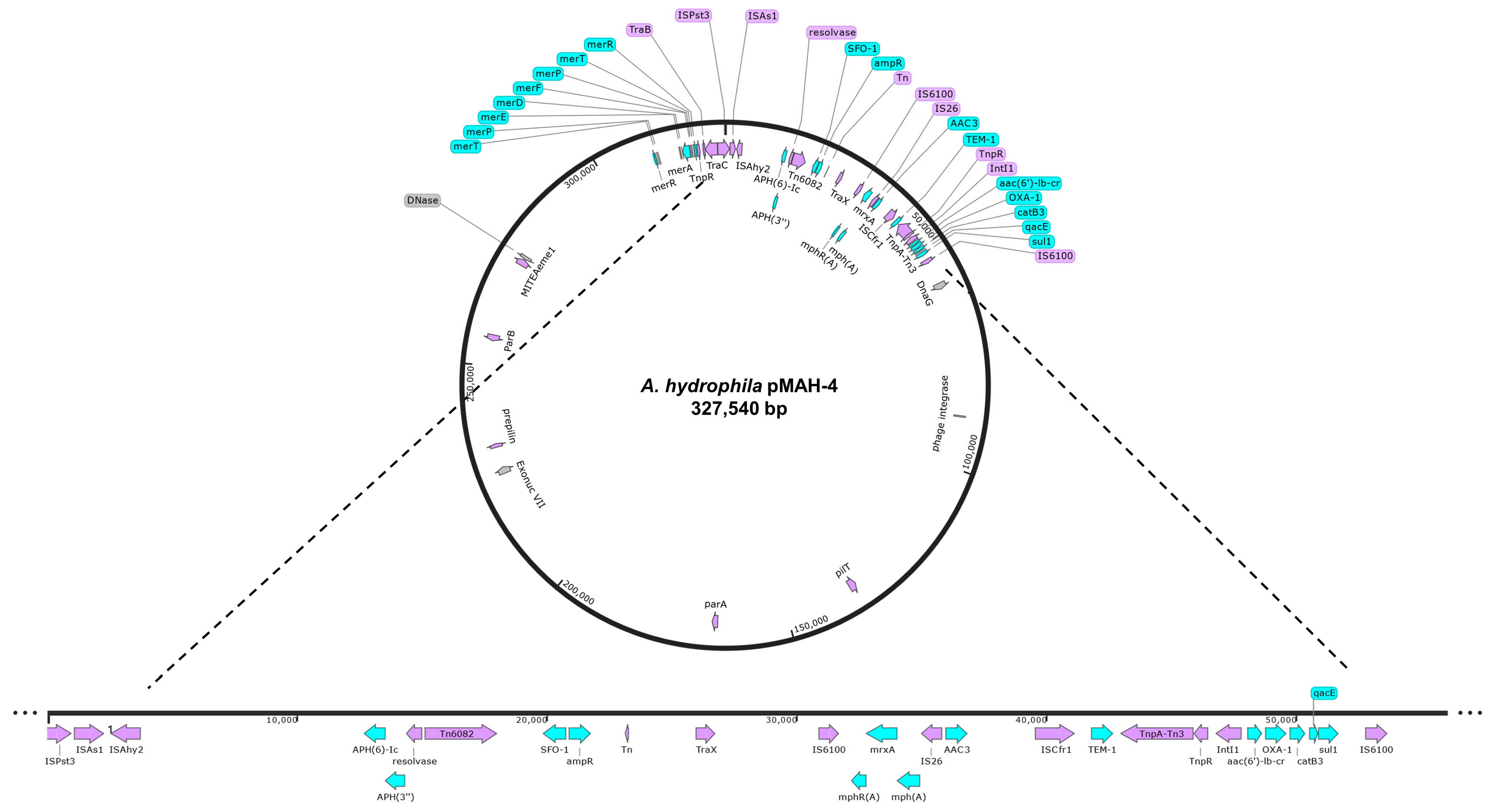 Microorganisms 12 00494 g003