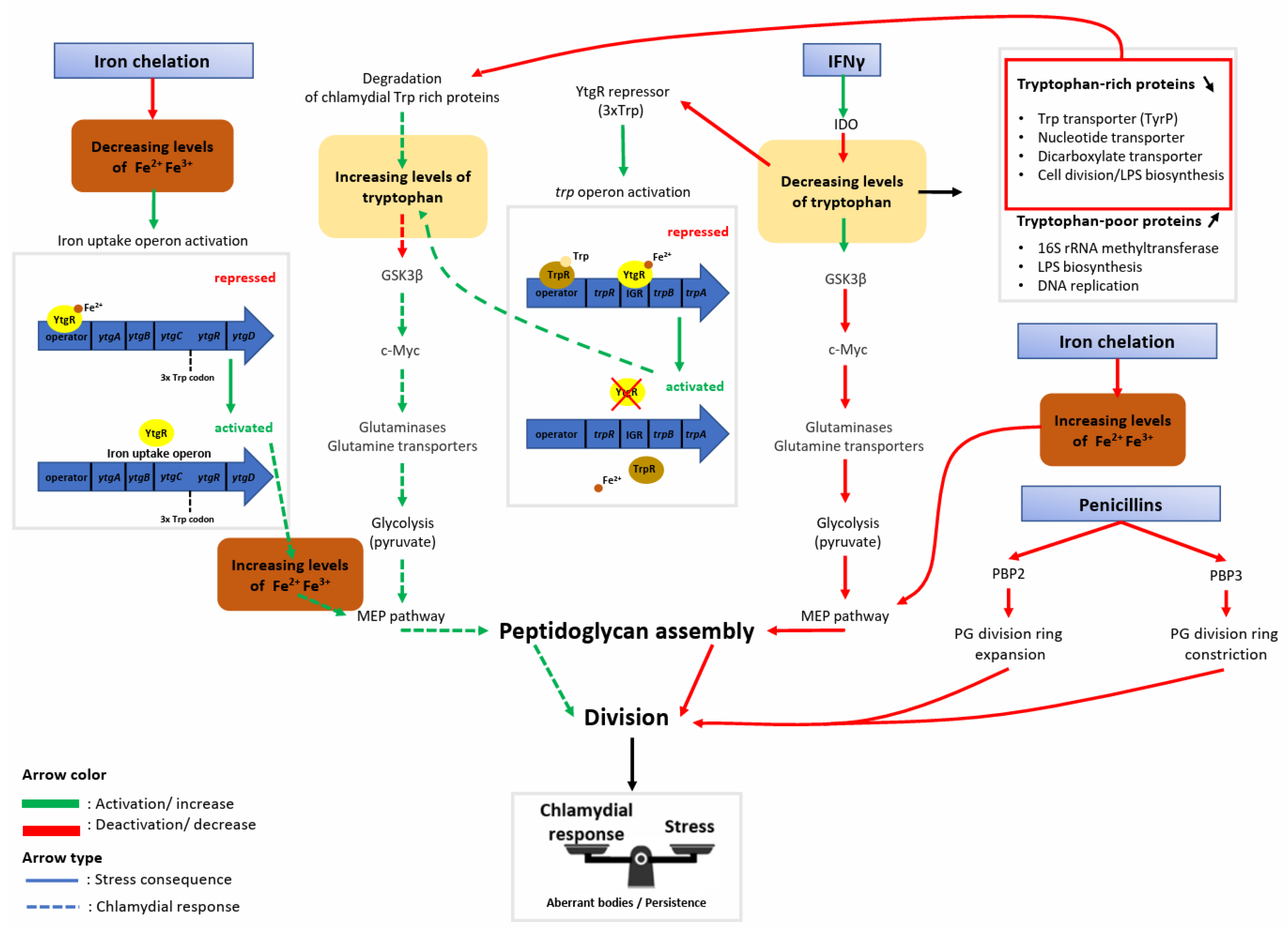 Microorganisms 12 00495 g002 Microorganisms 12 00495 g002