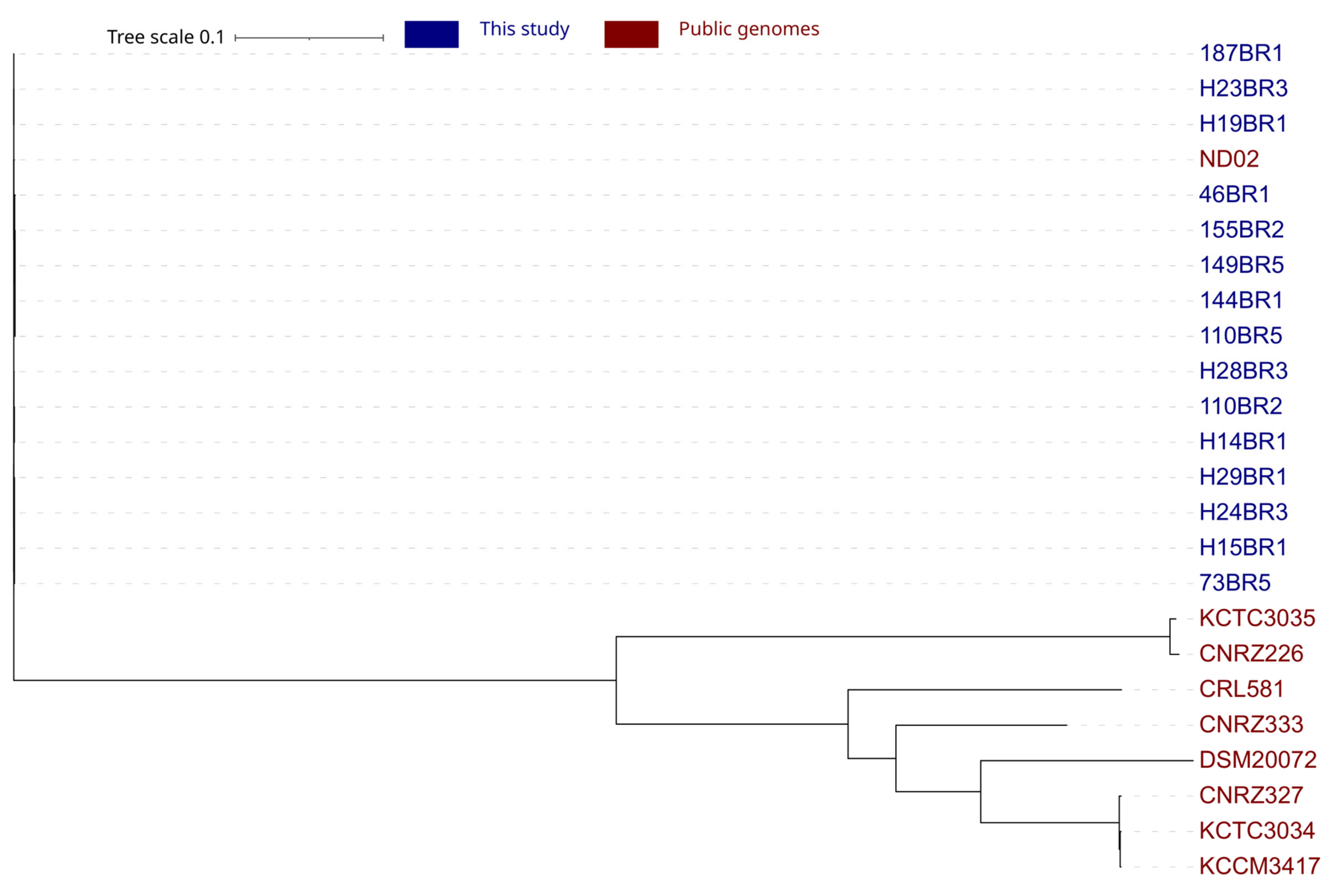 Microorganisms 12 00512 g002 Microorganisms 12 00512 g002