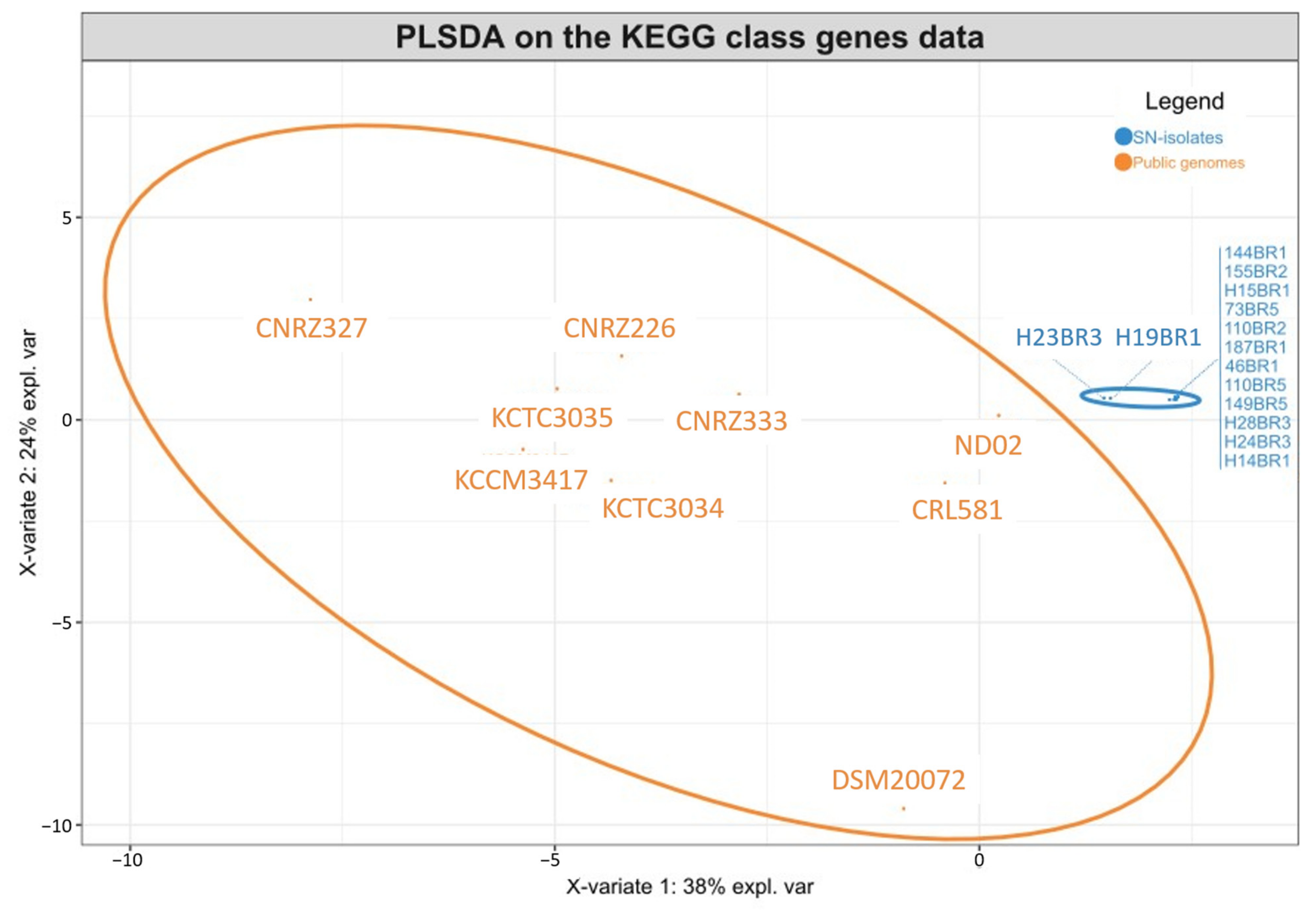 Microorganisms 12 00512 g004 Microorganisms 12 00512 g004