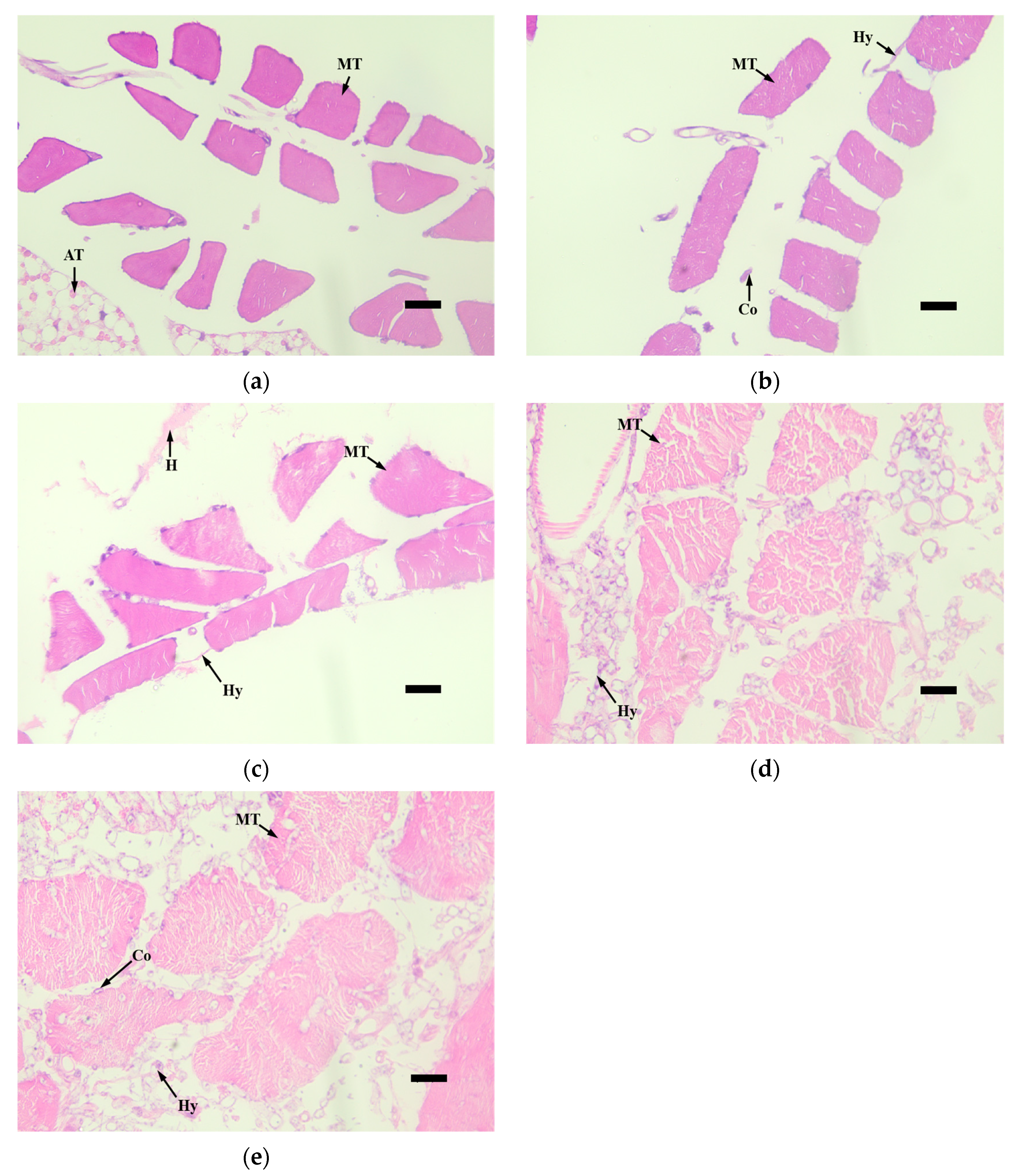 Microorganisms 12 00514 g005