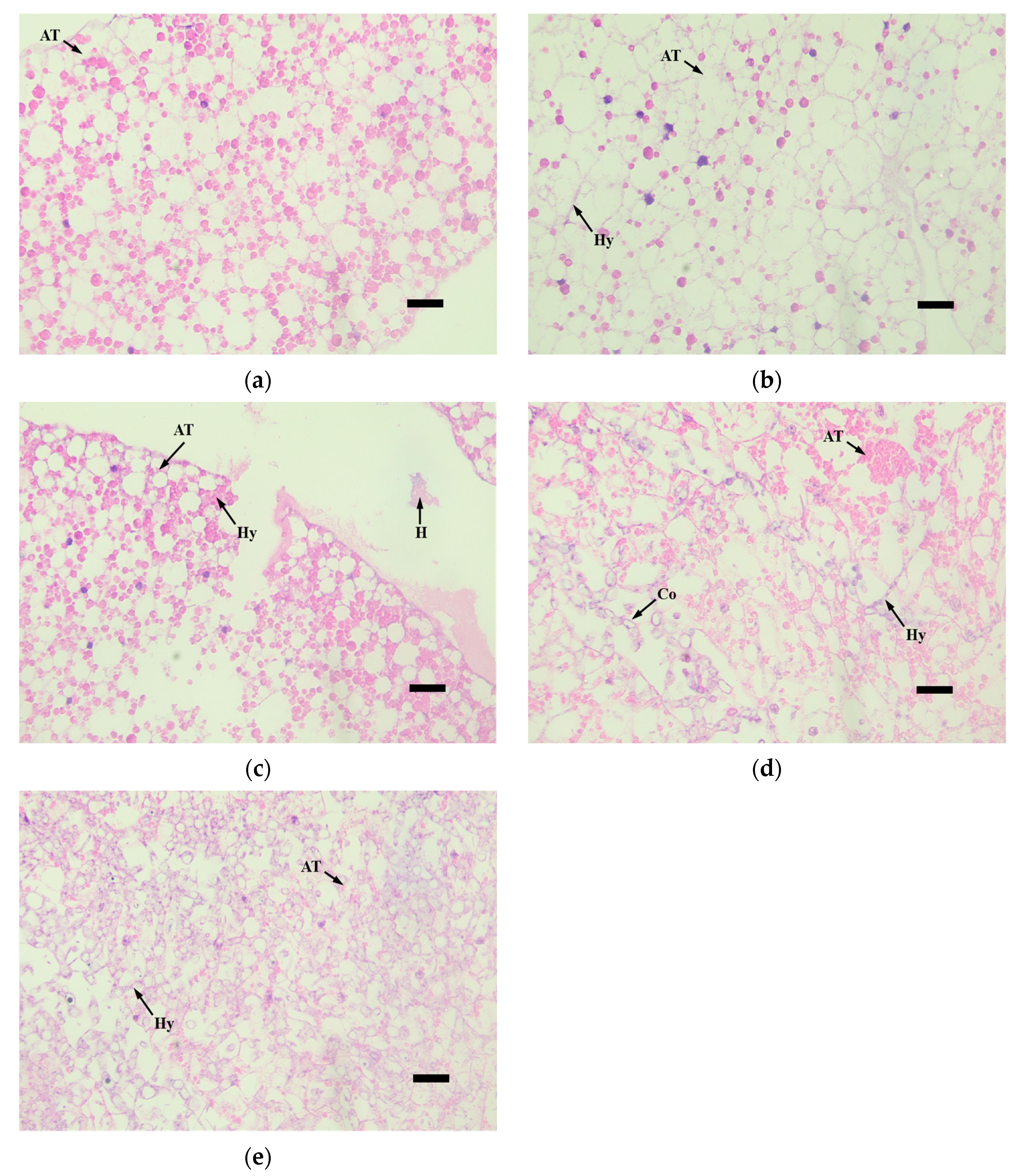 Microorganisms 12 00514 g006