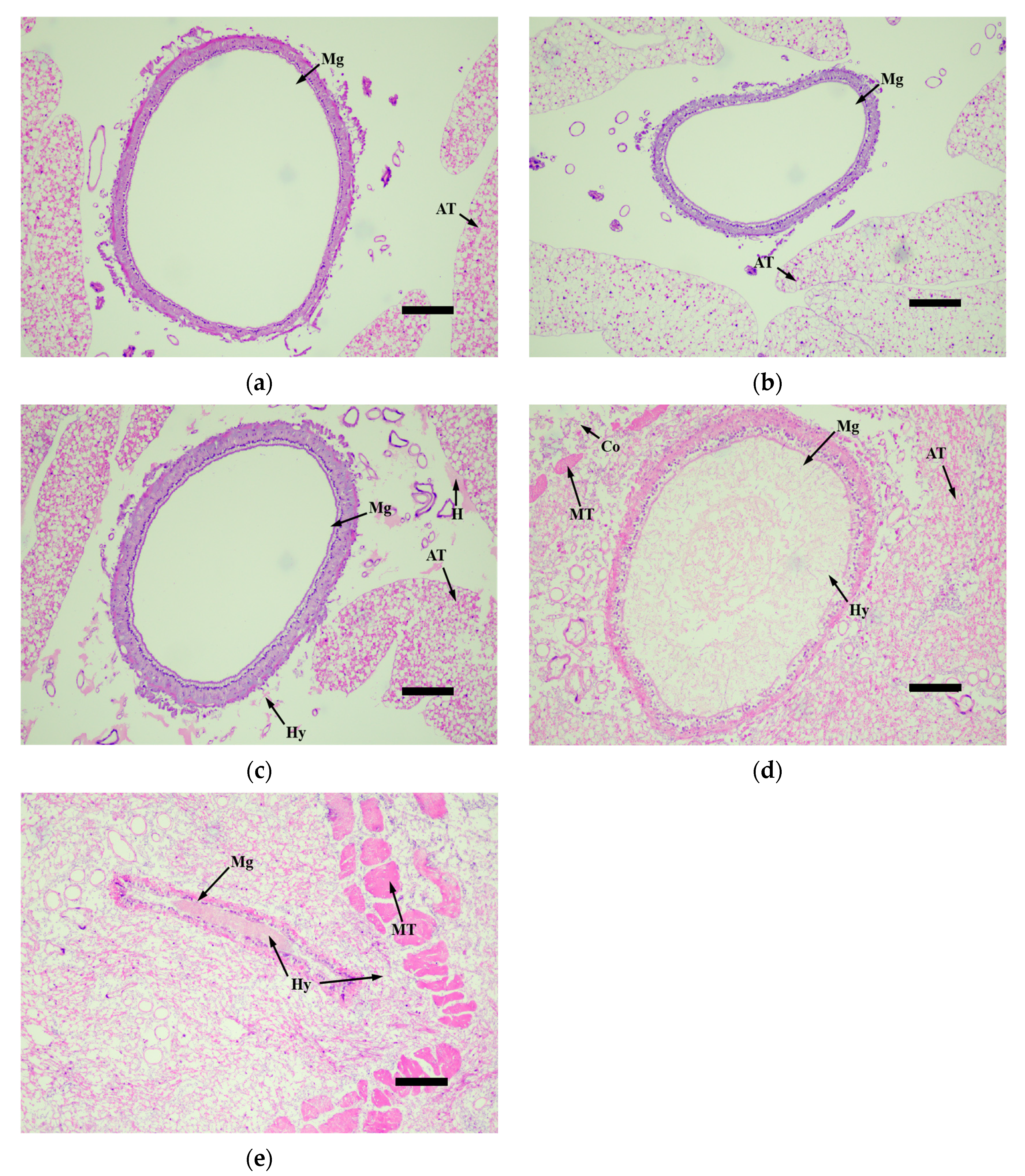 Microorganisms 12 00514 g007