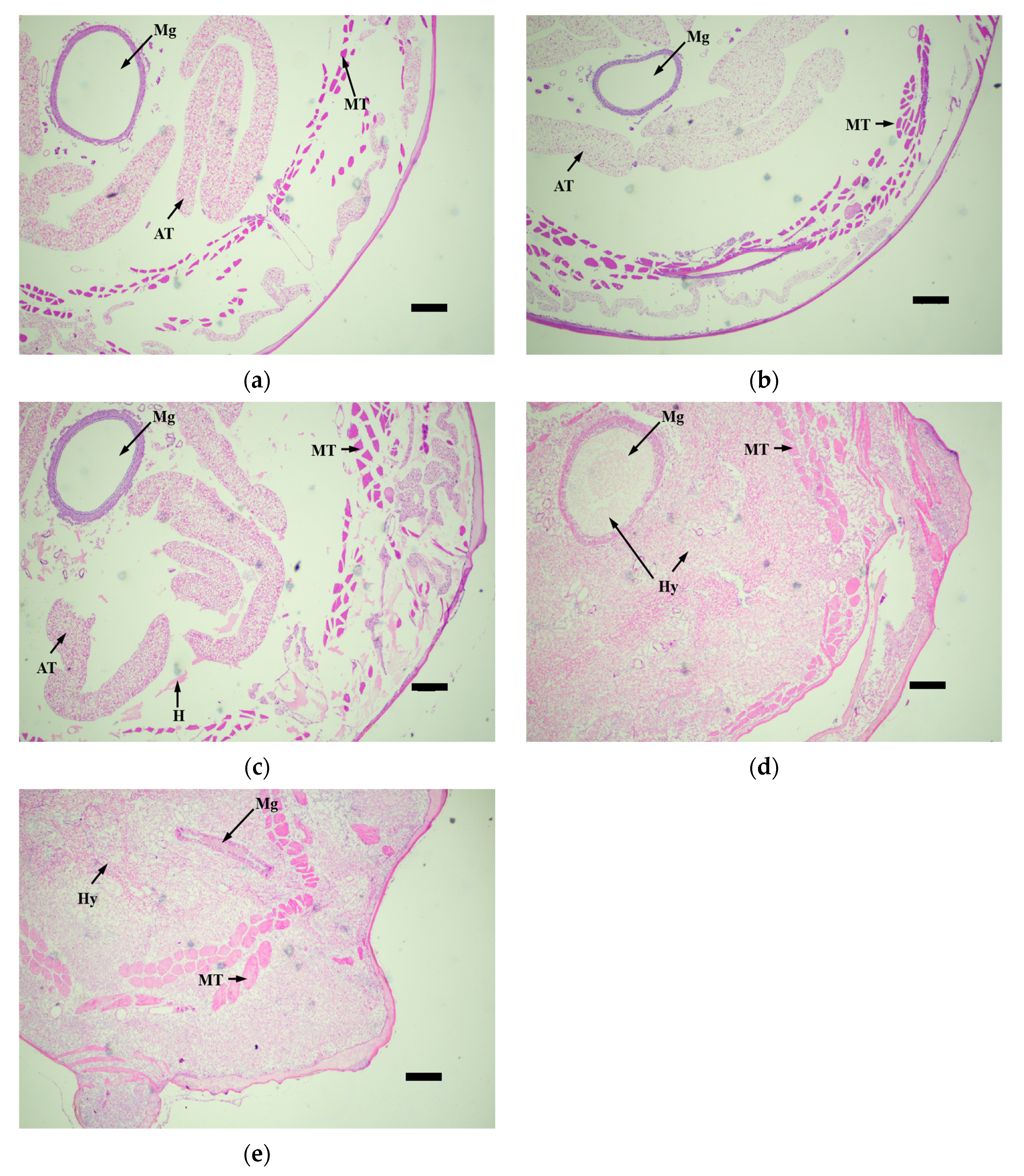 Microorganisms 12 00514 g008