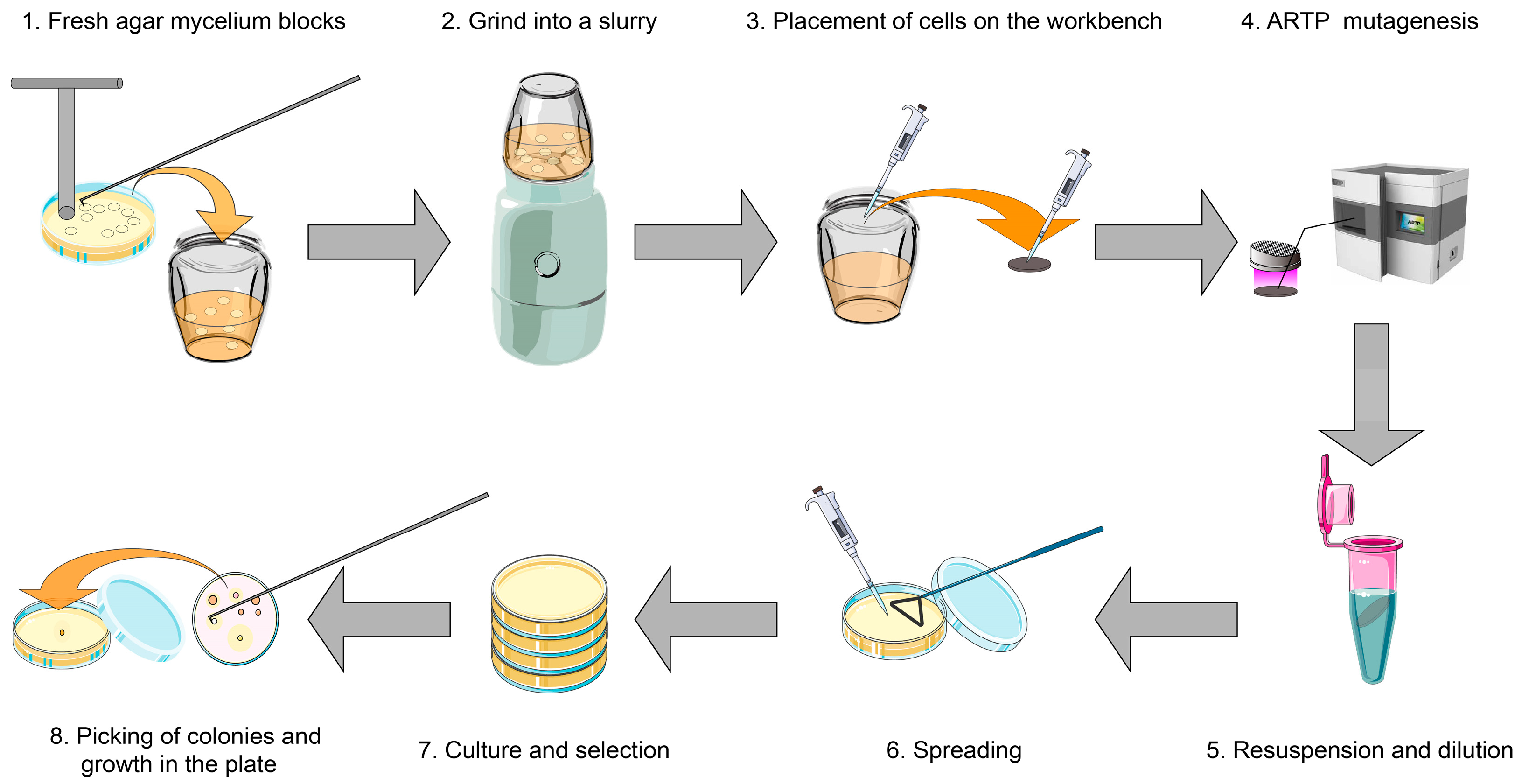 Microorganisms 12 00518 g001
