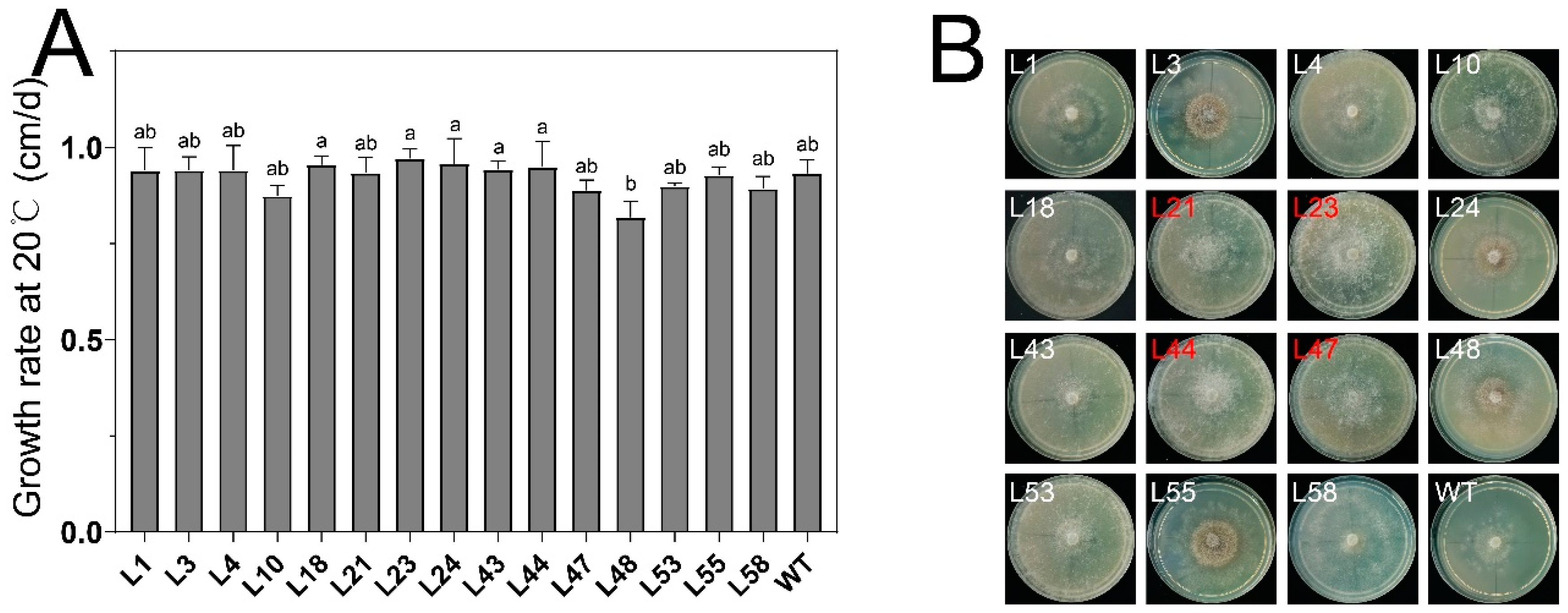 Microorganisms 12 00518 g003