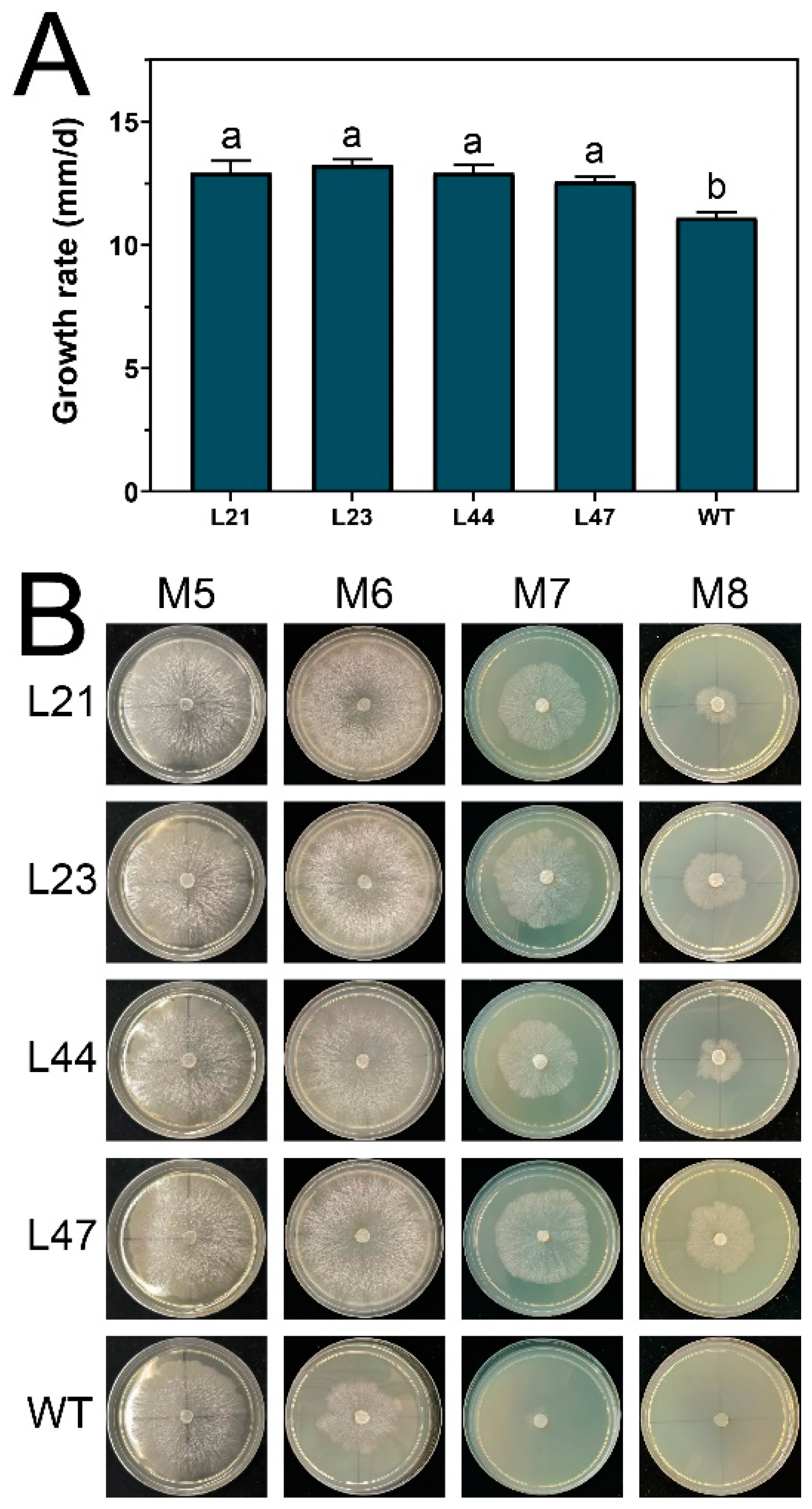 Microorganisms 12 00518 g004