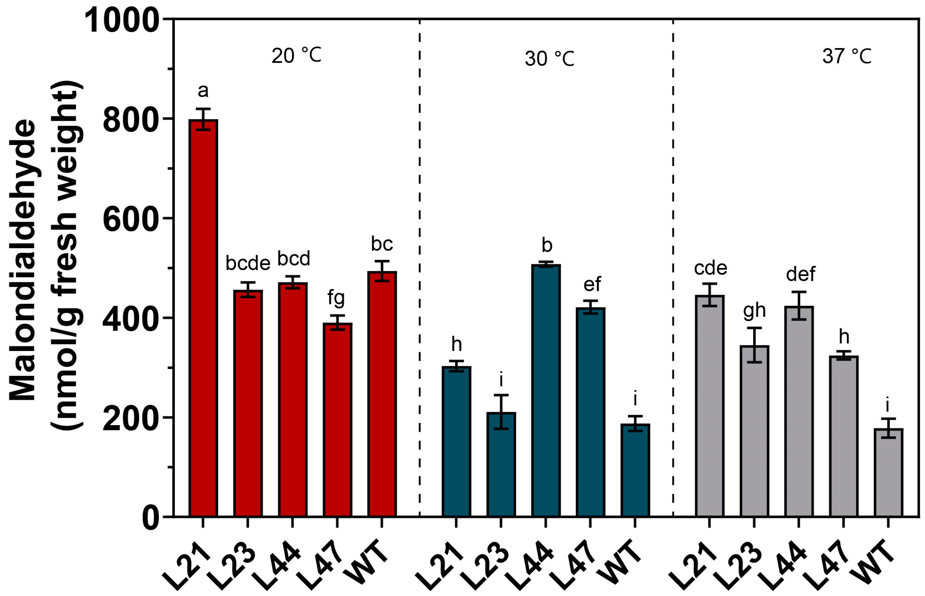 Microorganisms 12 00518 g005