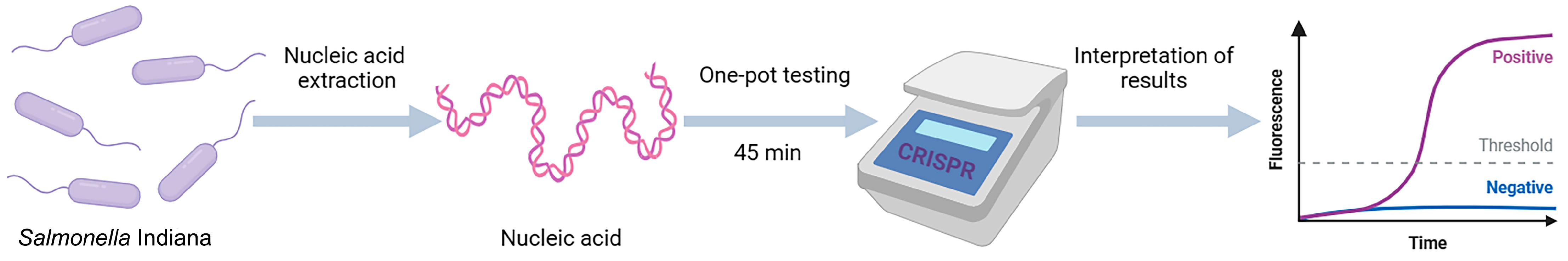 Microorganisms 12 00519 g001