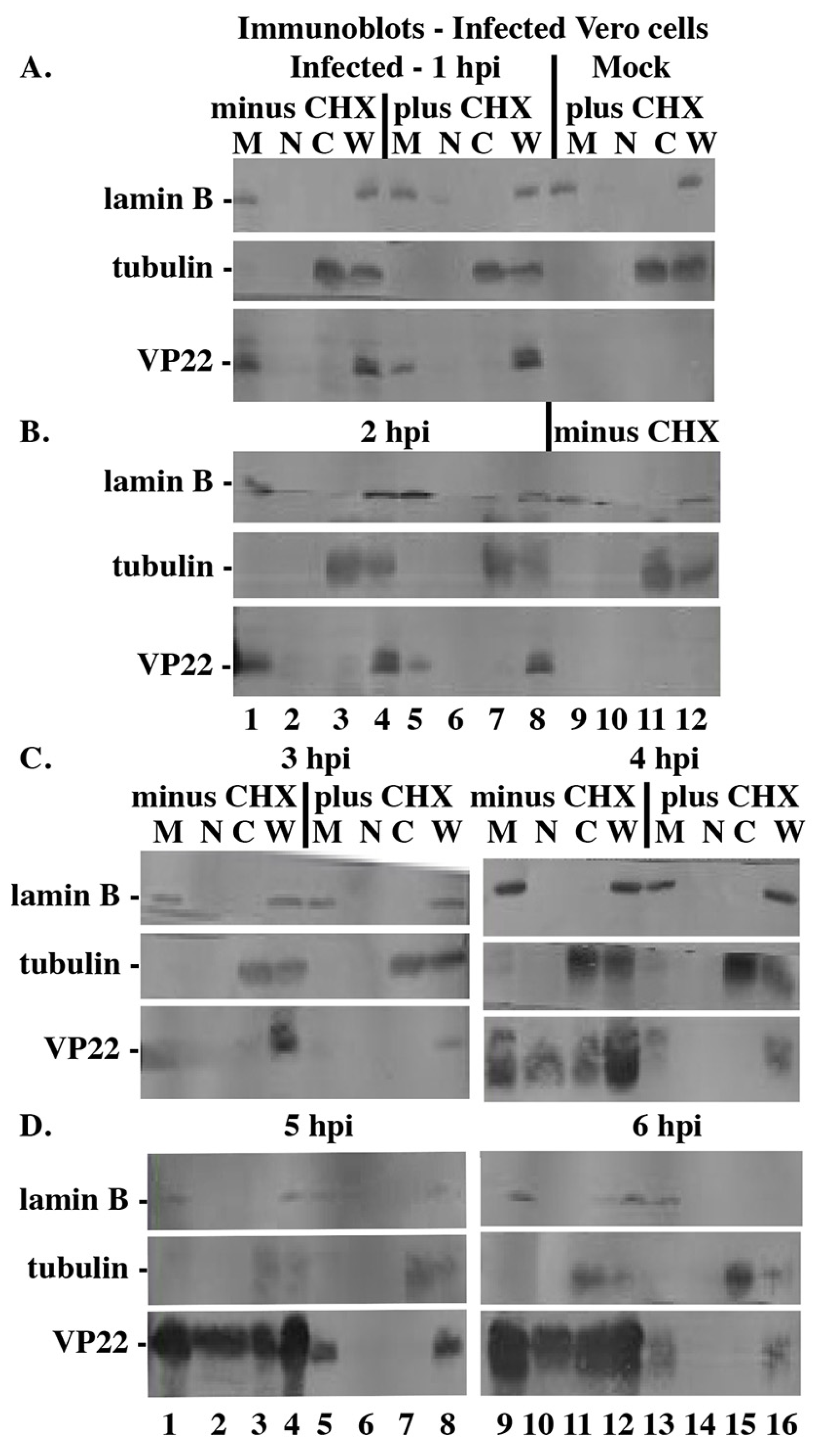 Microorganisms 12 00521 g002 Microorganisms 12 00521 g002