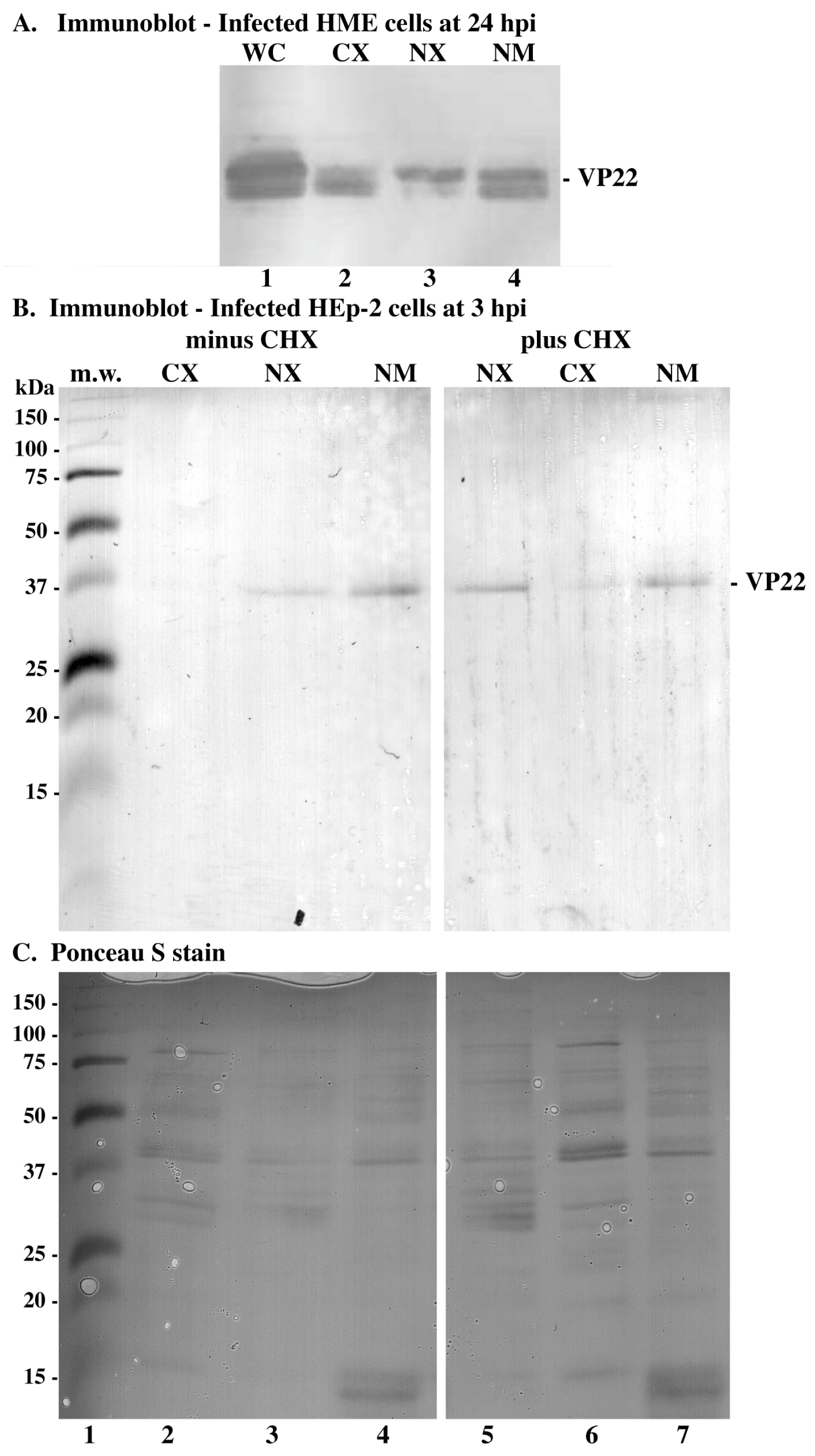 Microorganisms 12 00521 g003 Microorganisms 12 00521 g003