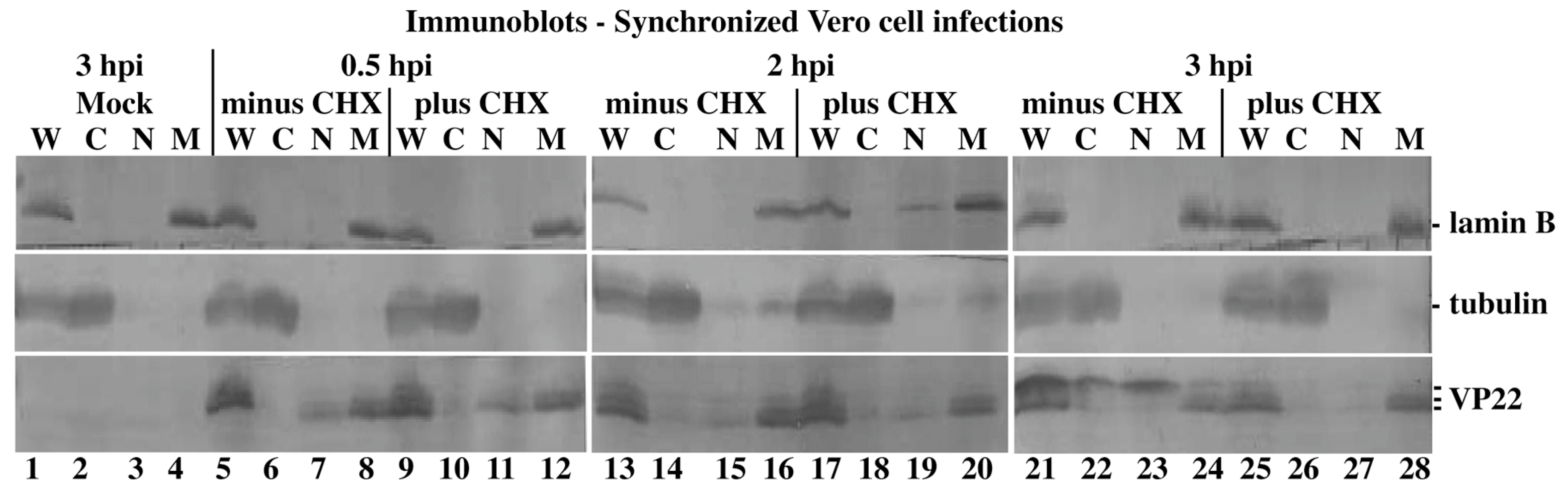 Microorganisms 12 00521 g004 Microorganisms 12 00521 g004