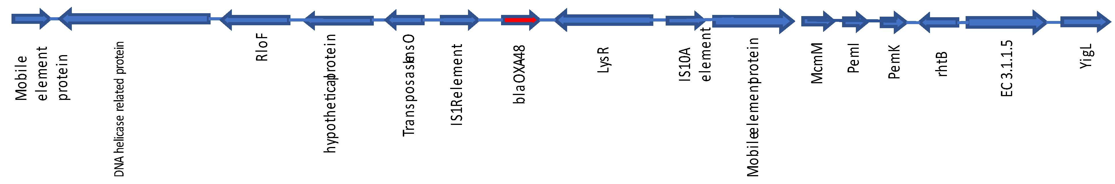 Microorganisms 12 00524 g003
