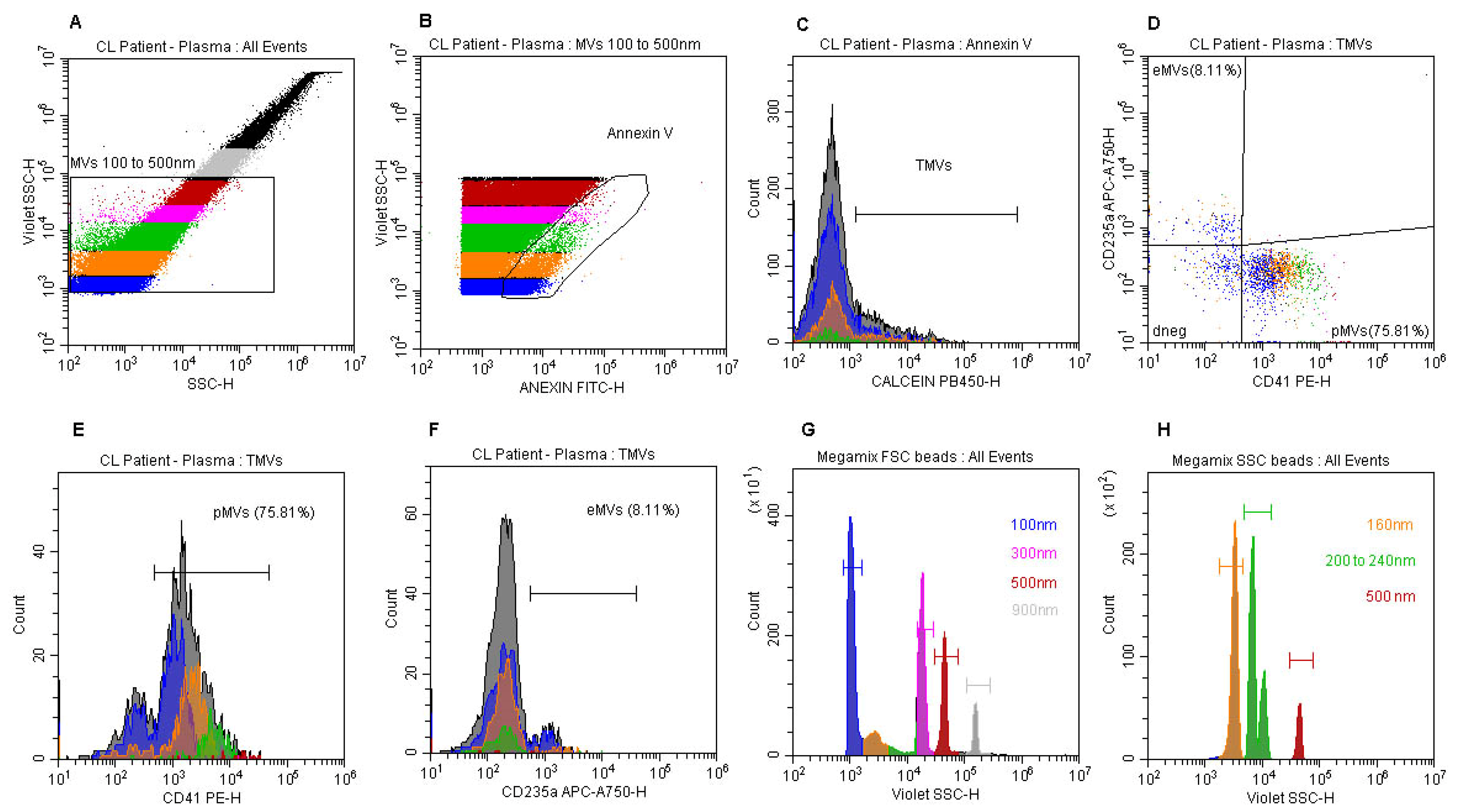 Microorganisms 12 00526 g001
