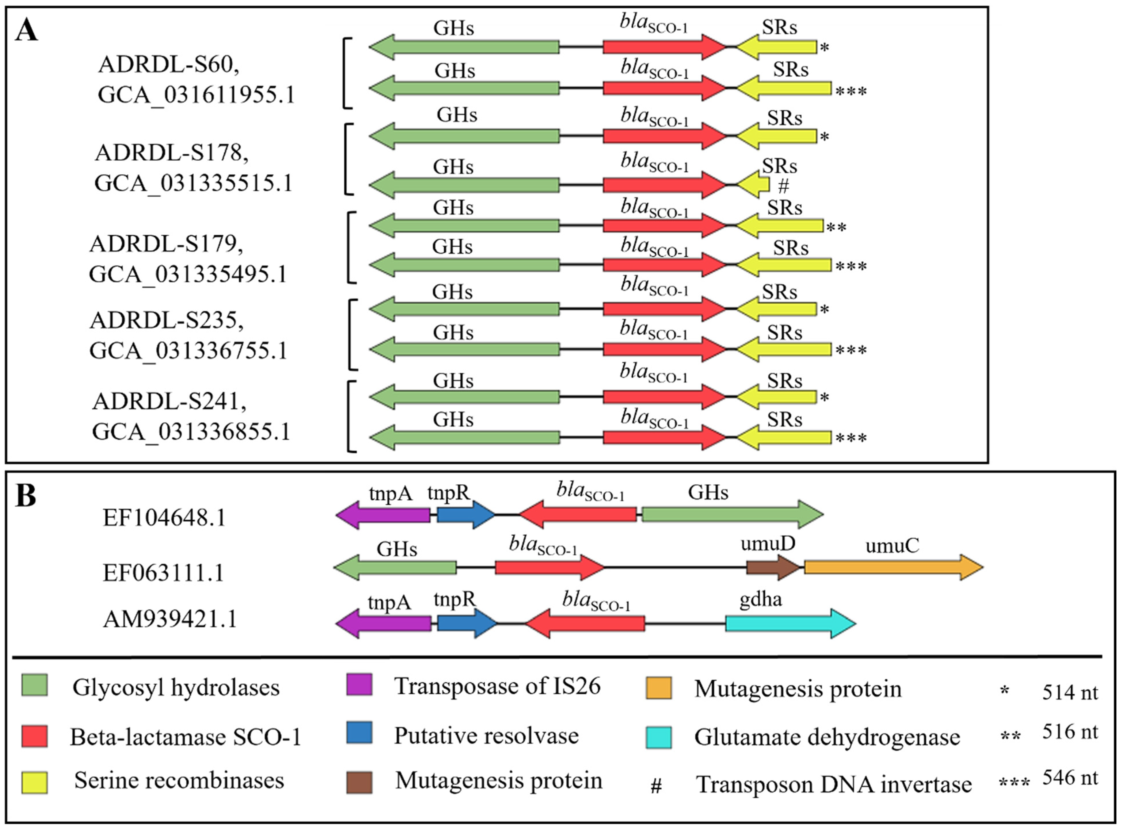 Microorganisms 12 00528 g006 Microorganisms 12 00528 g006