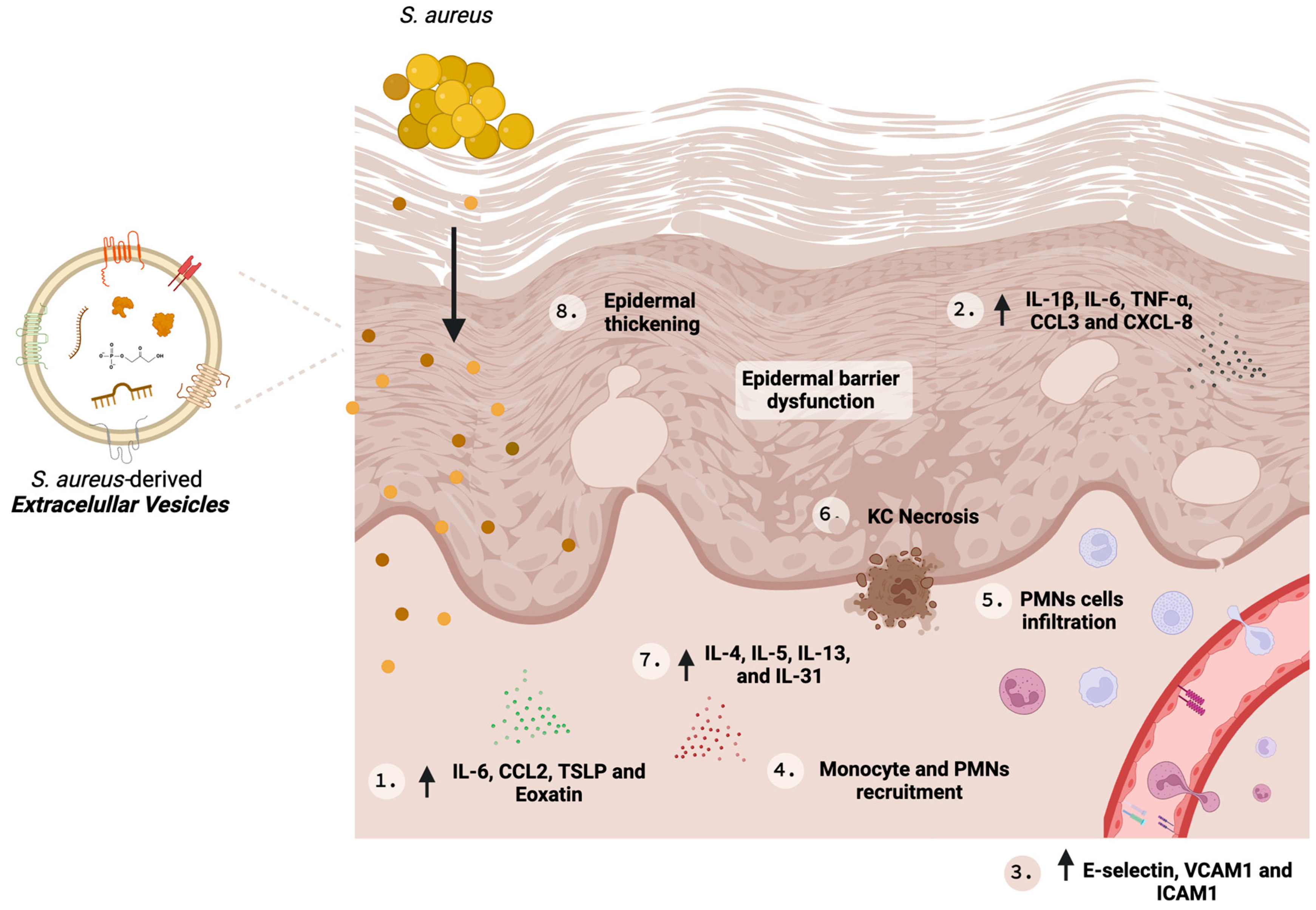 Microorganisms 12 00531 g002