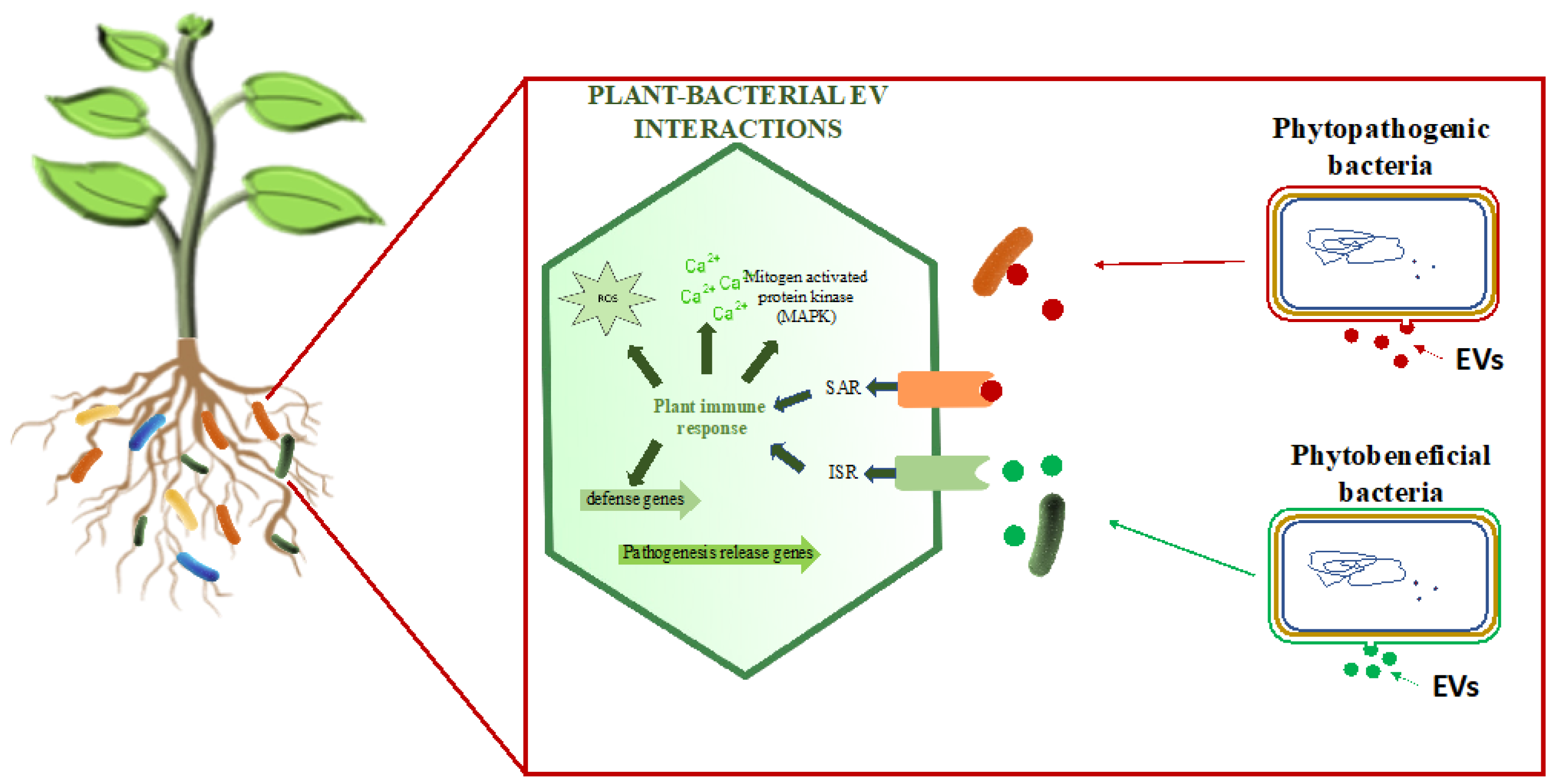 Microorganisms 12 00532 g002 Microorganisms 12 00532 g002