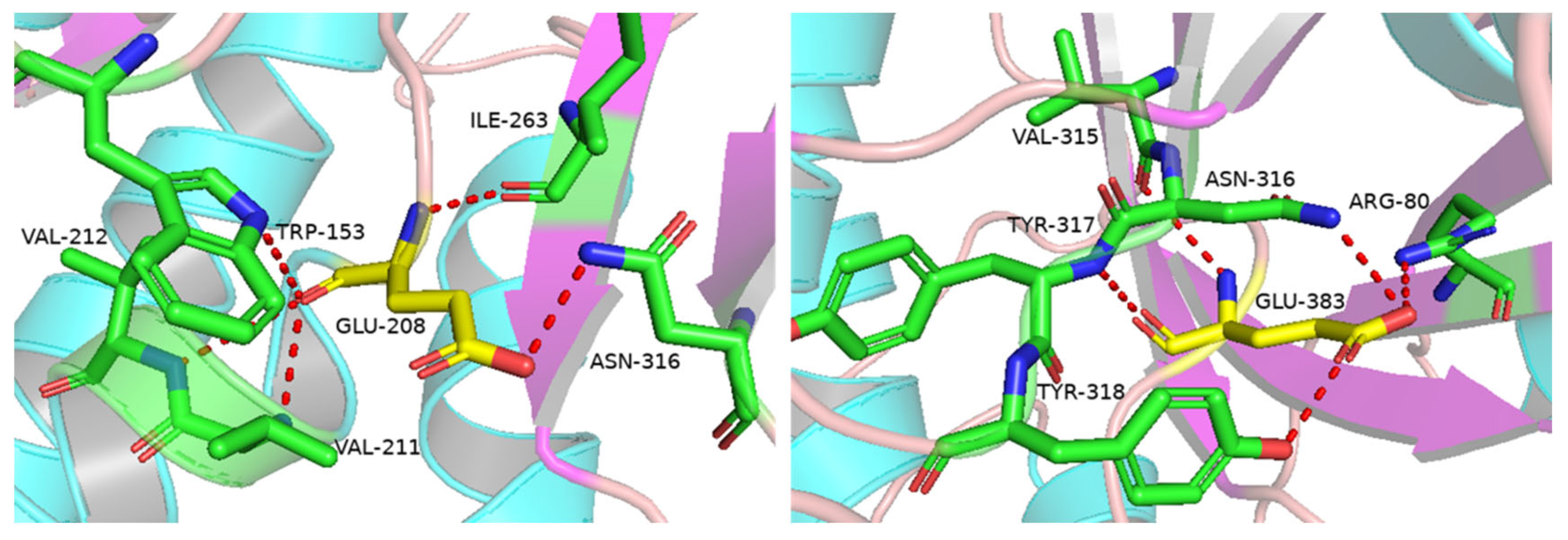 Microorganisms 12 00533 g002