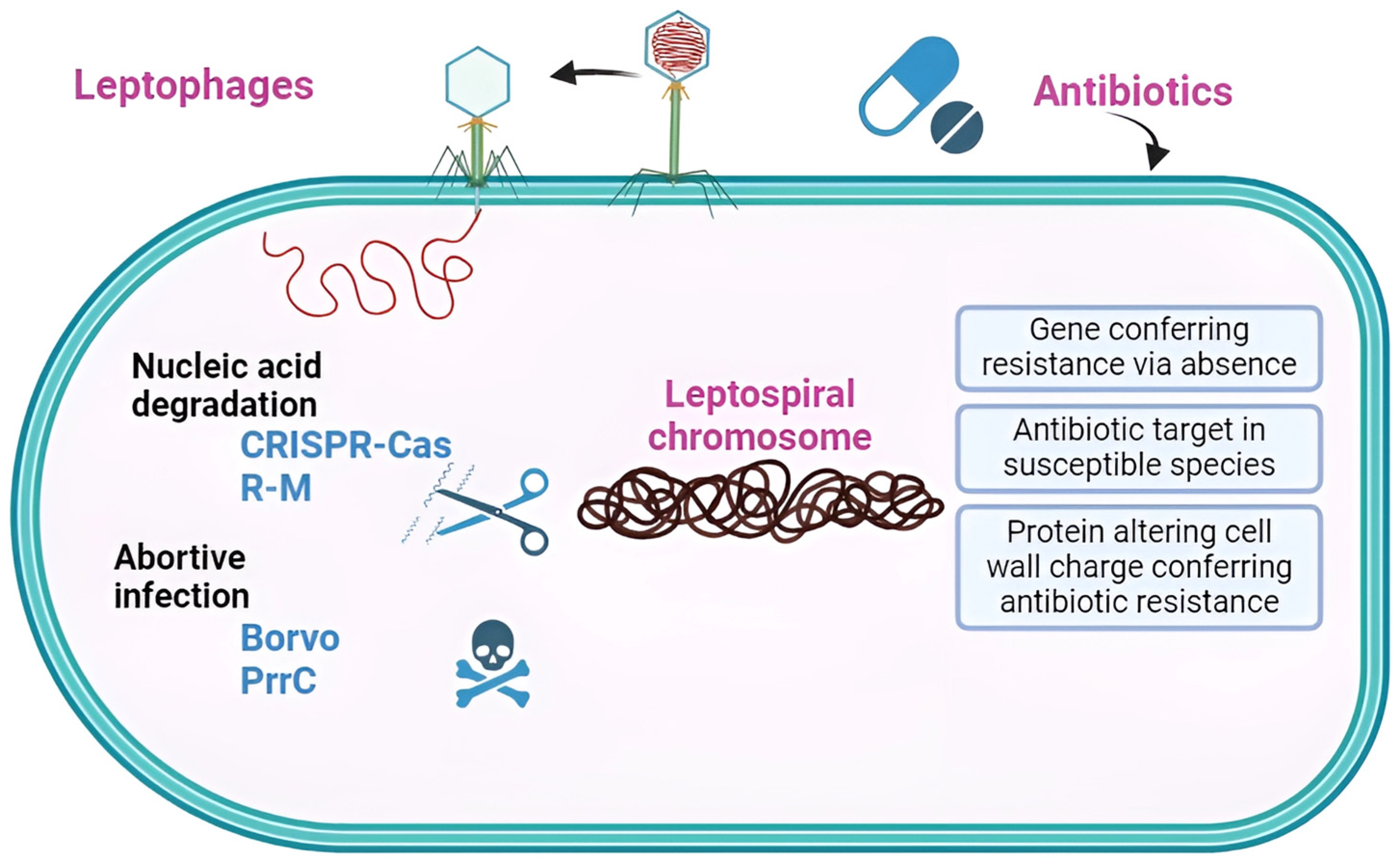 Microorganisms 12 00546 g004
