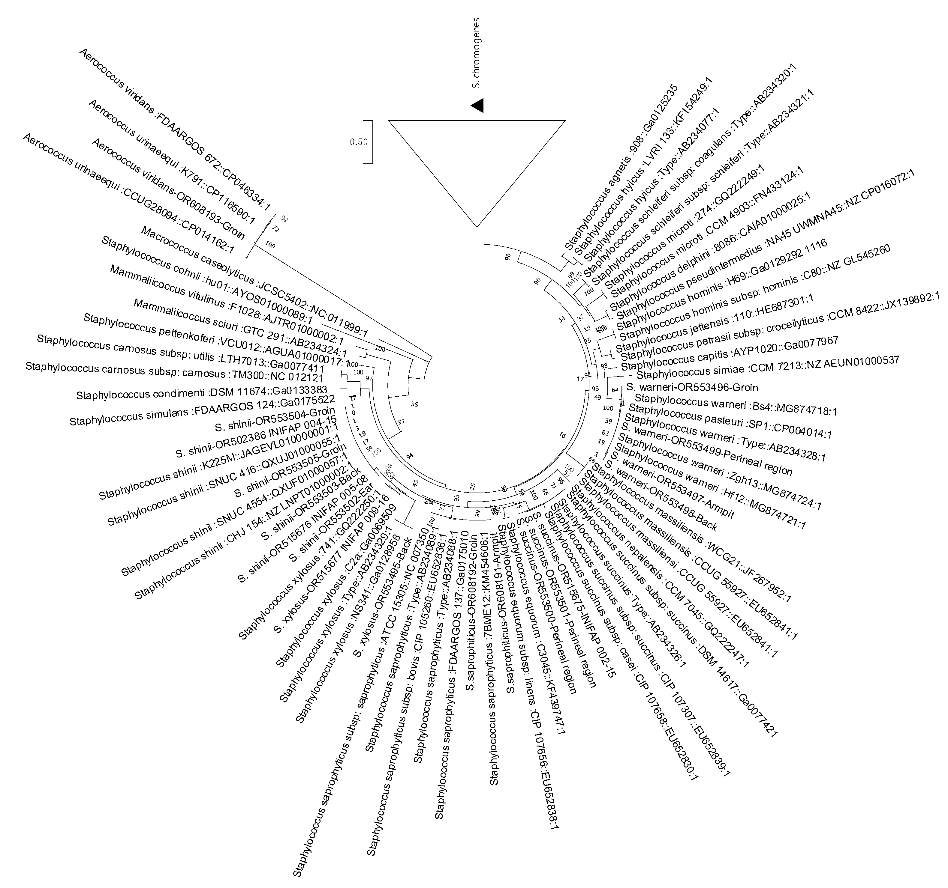 Microorganisms 12 00551 g005