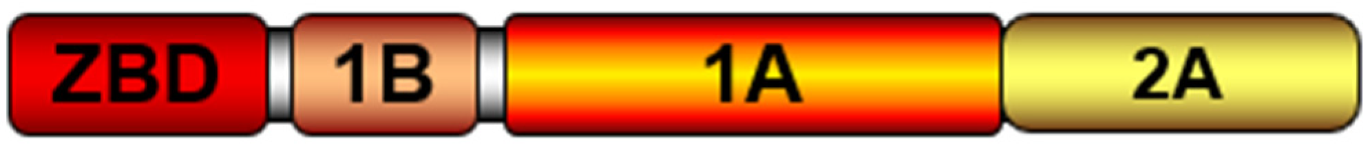 Microorganisms 12 00553 g001 Microorganisms 12 00553 g001