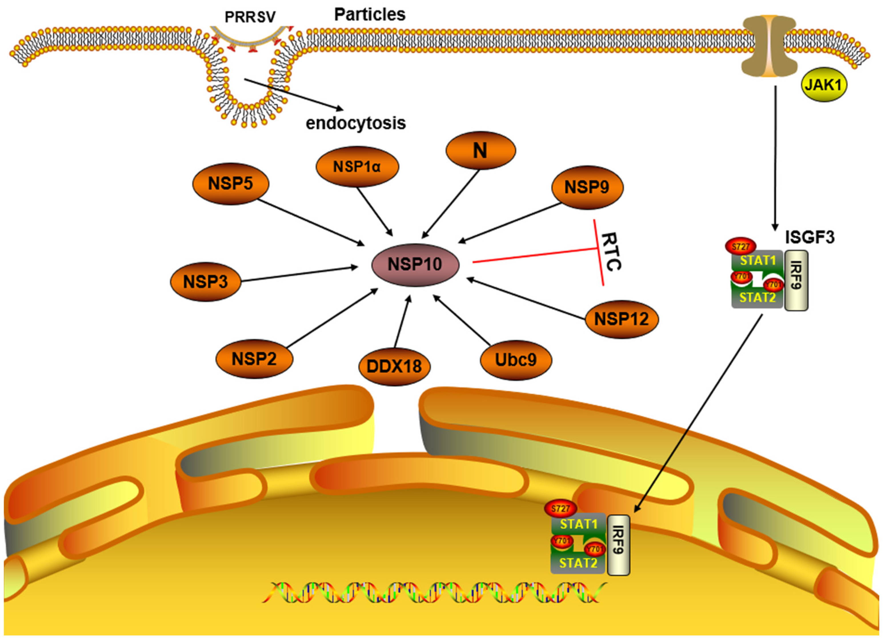 Microorganisms 12 00553 g002 Microorganisms 12 00553 g002