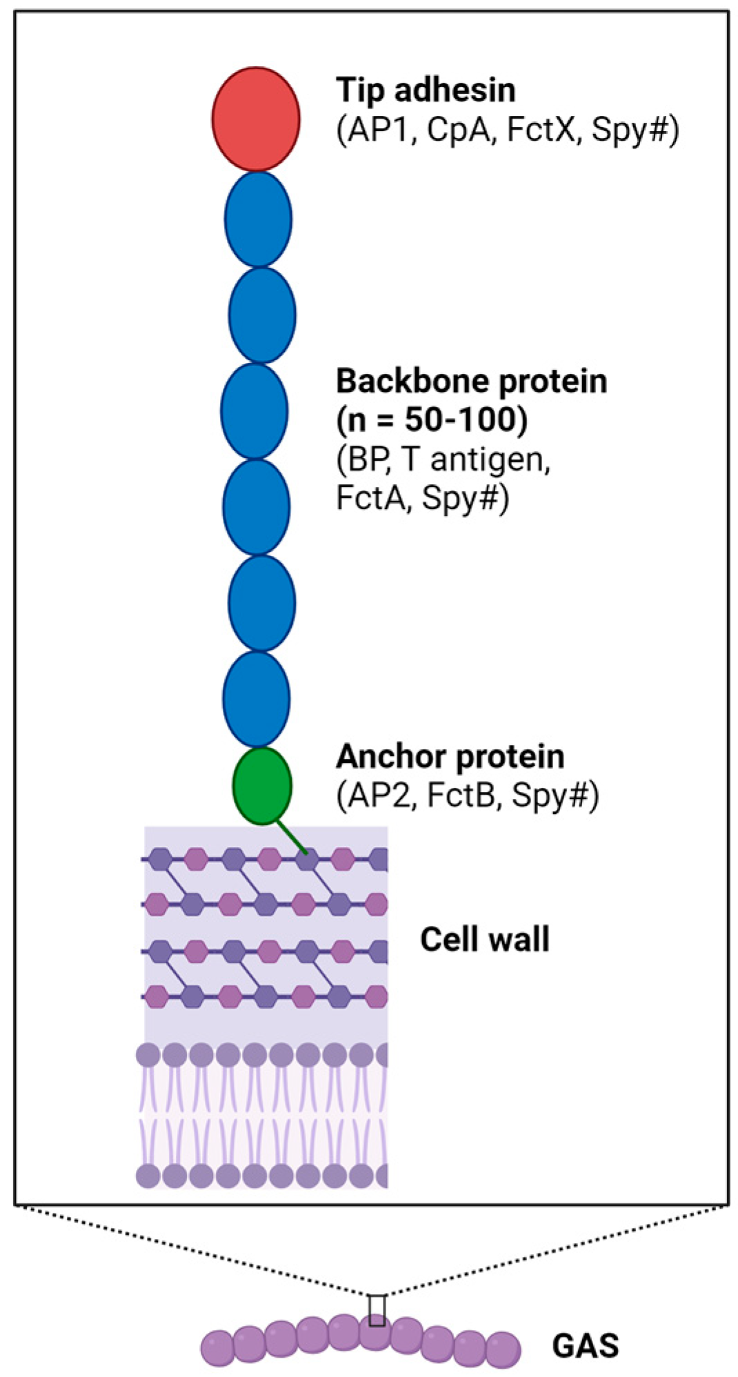 Microorganisms 12 00555 g001 Microorganisms 12 00555 g001