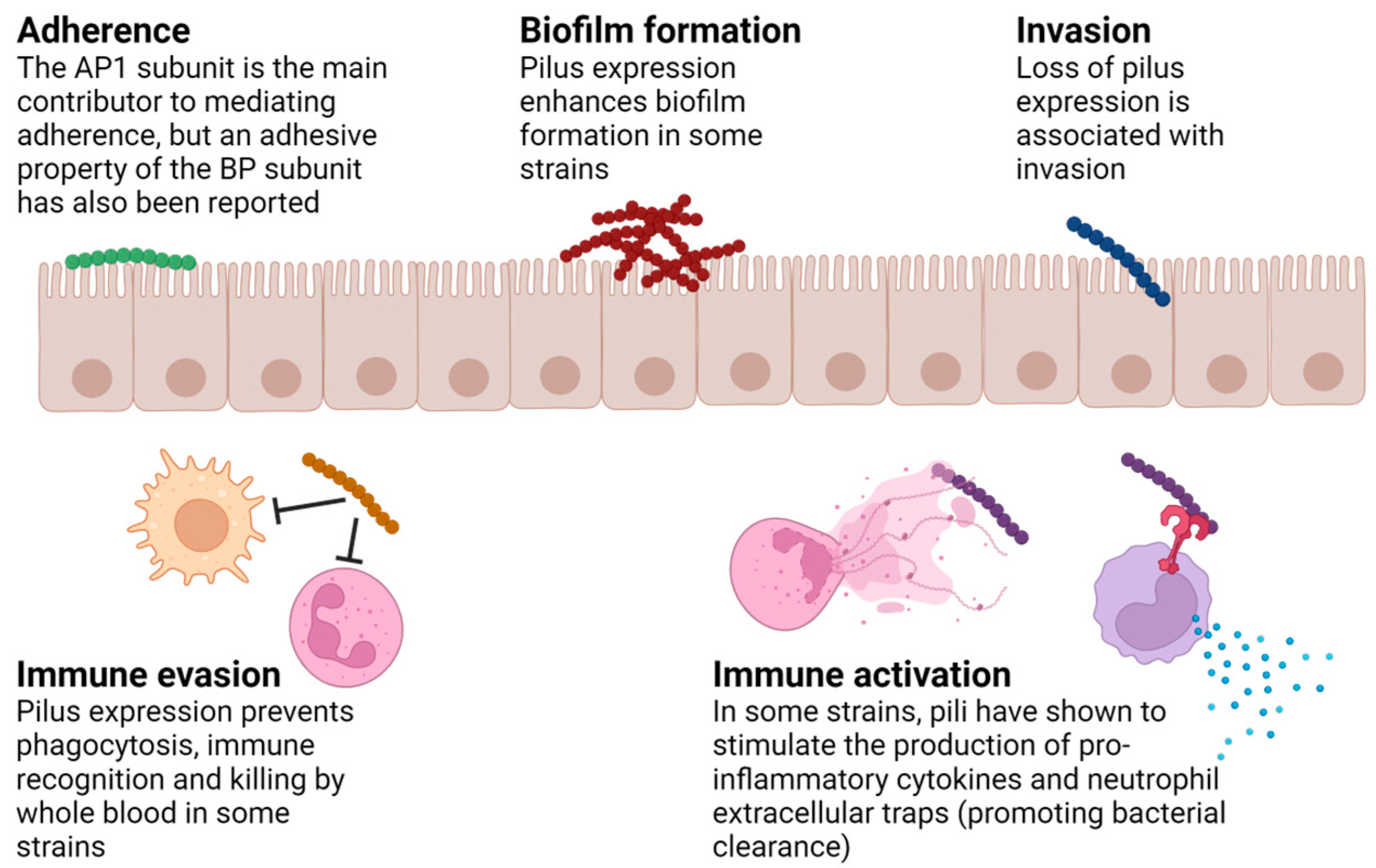 Microorganisms 12 00555 g002 Microorganisms 12 00555 g002
