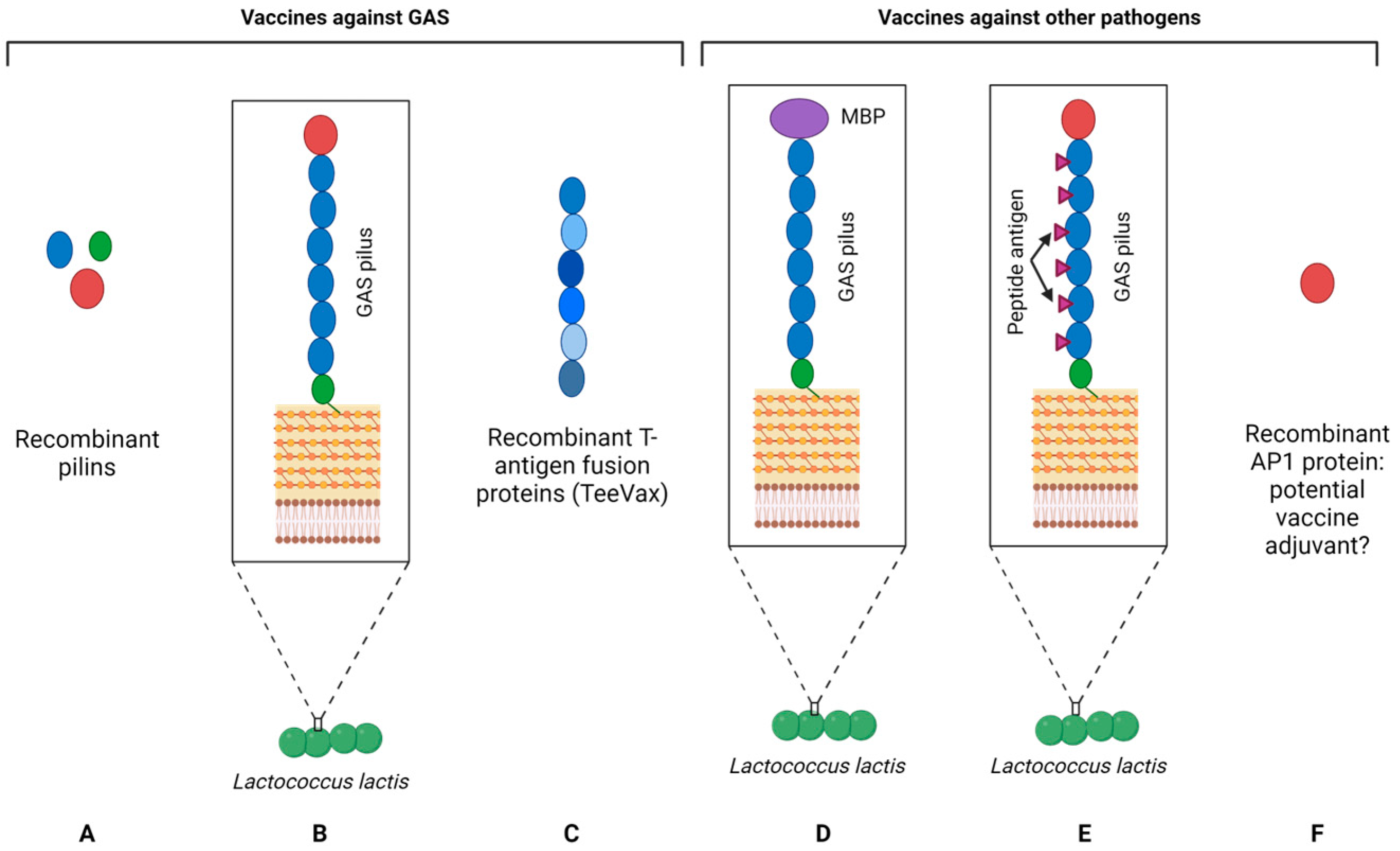Microorganisms 12 00555 g003 Microorganisms 12 00555 g003