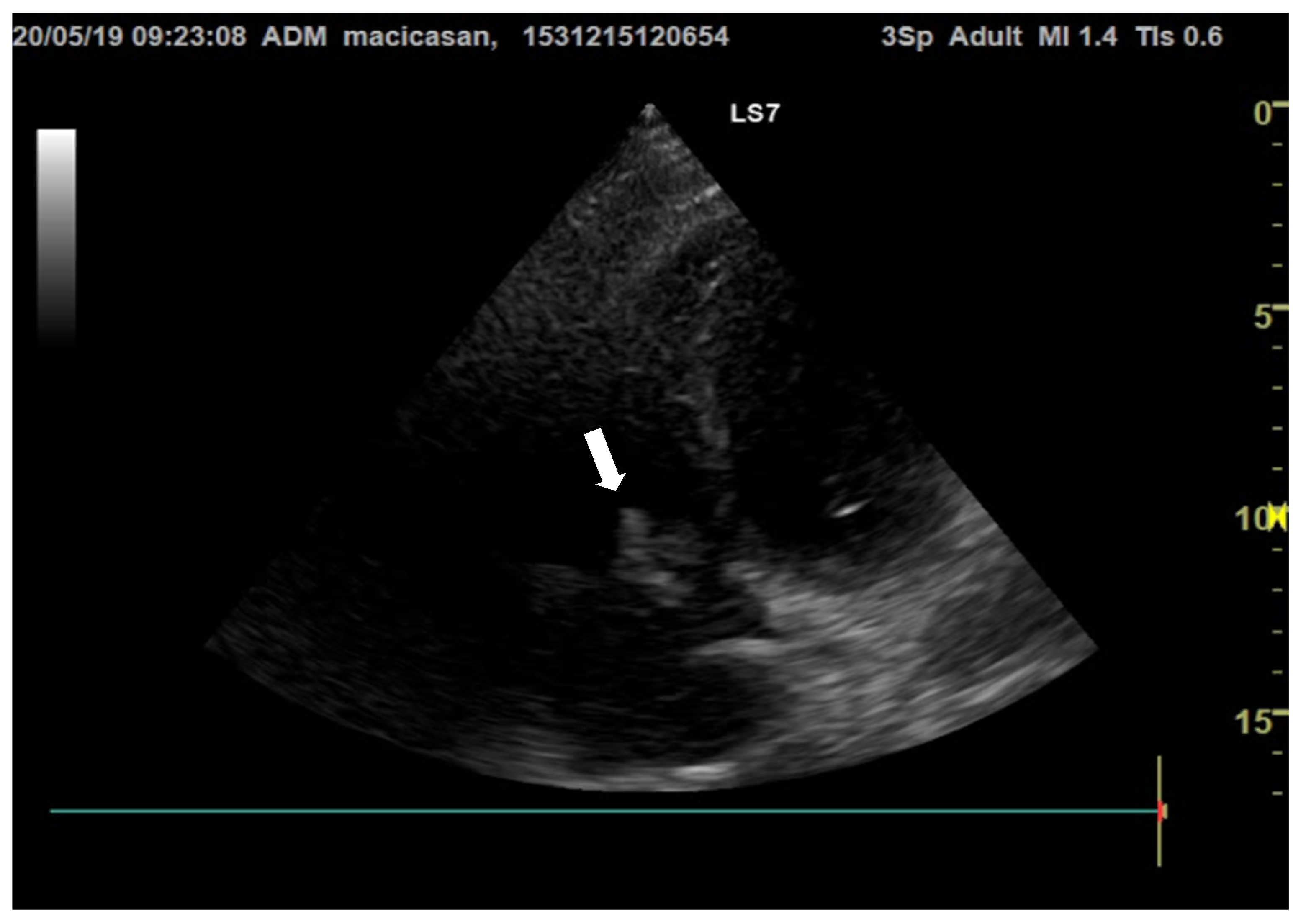 Microorganisms 12 00566 g002