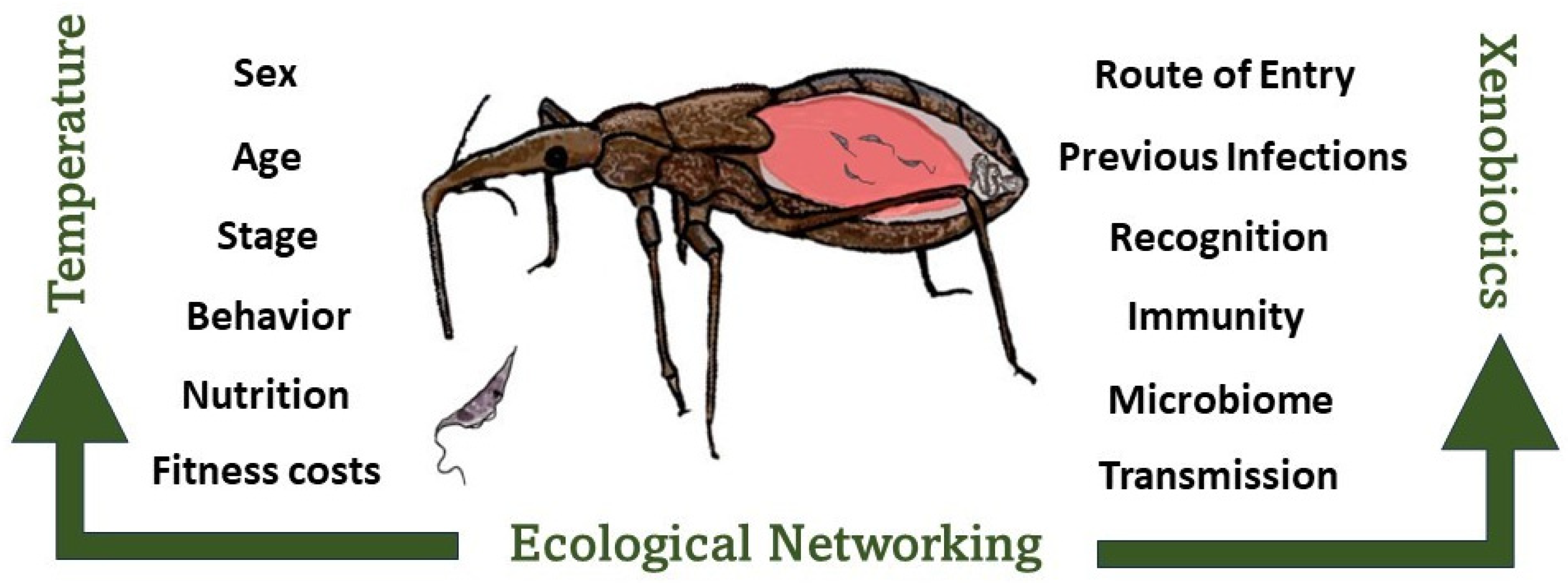 Microorganisms 12 00568 g001
