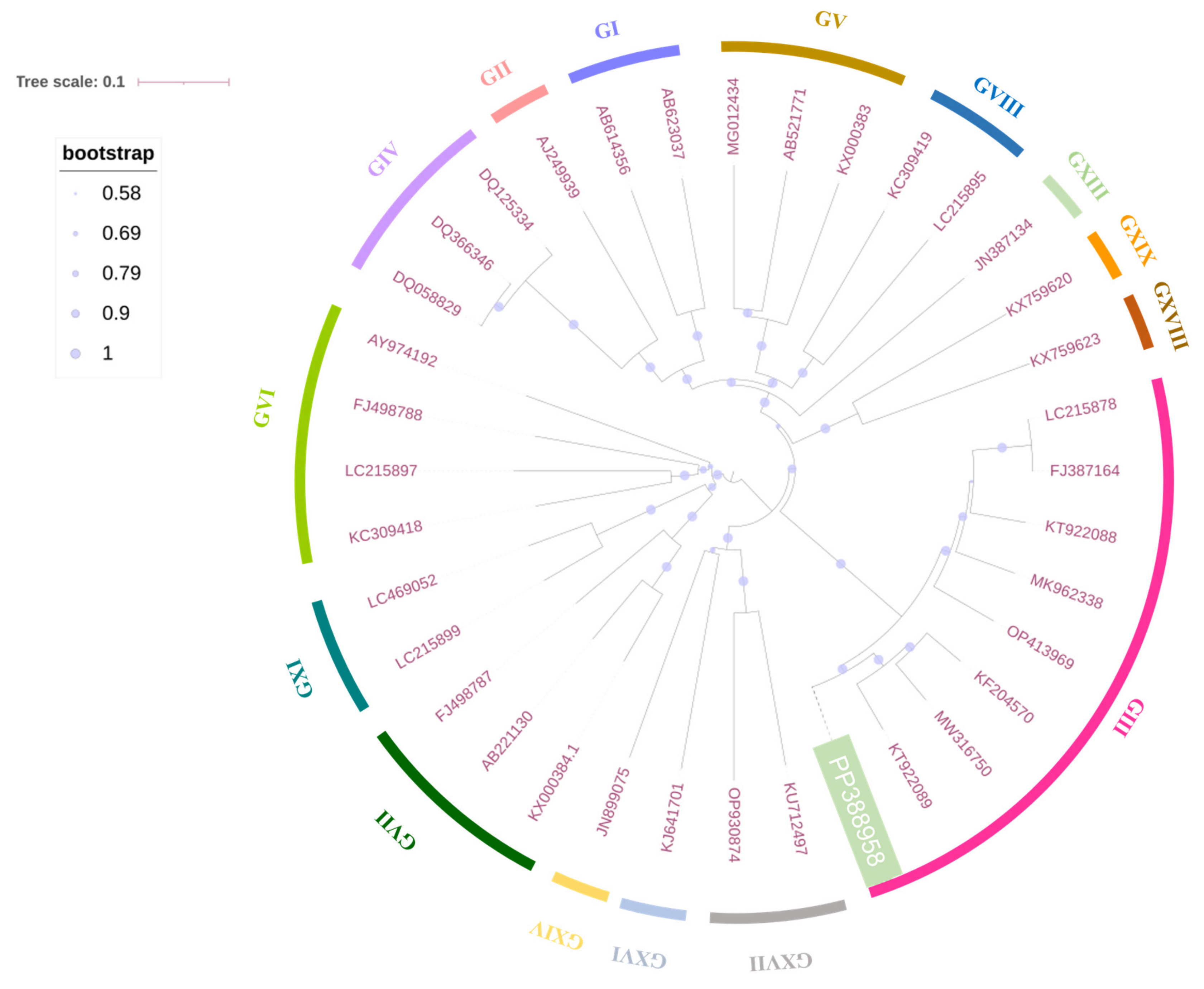 Microorganisms 12 00569 g002