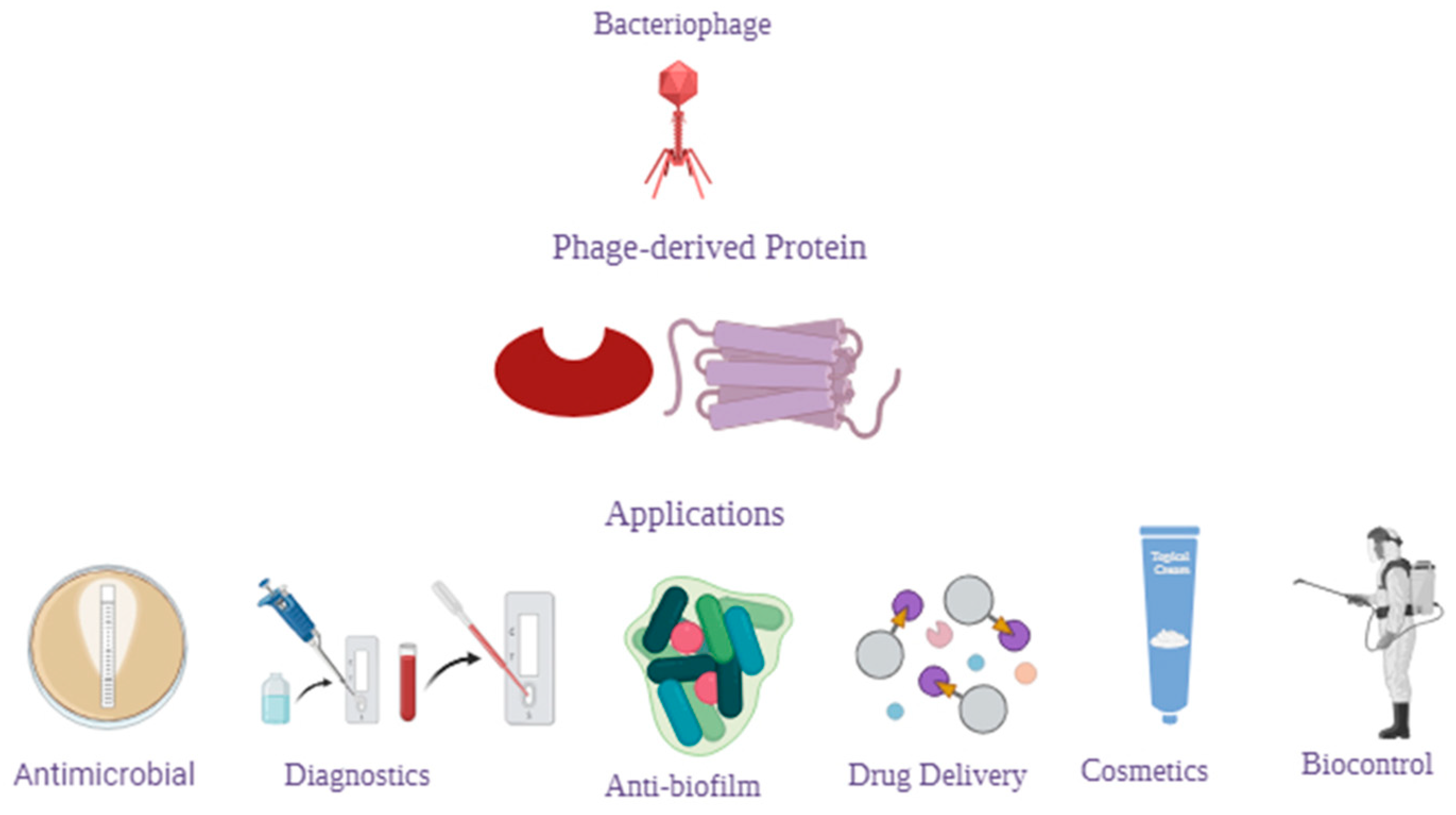 Microorganisms 12 00570 g001
