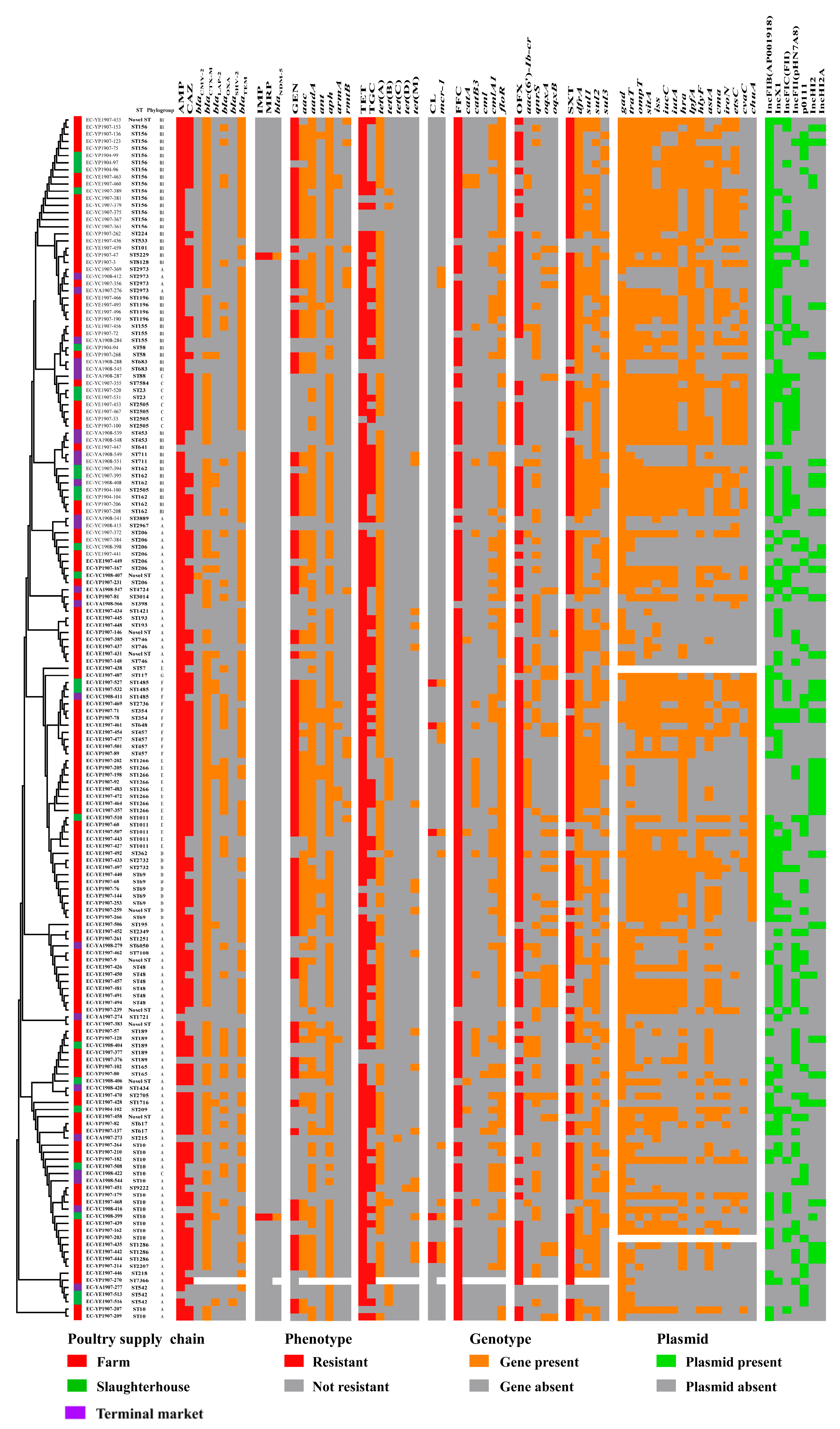 Microorganisms 12 00575 g002
