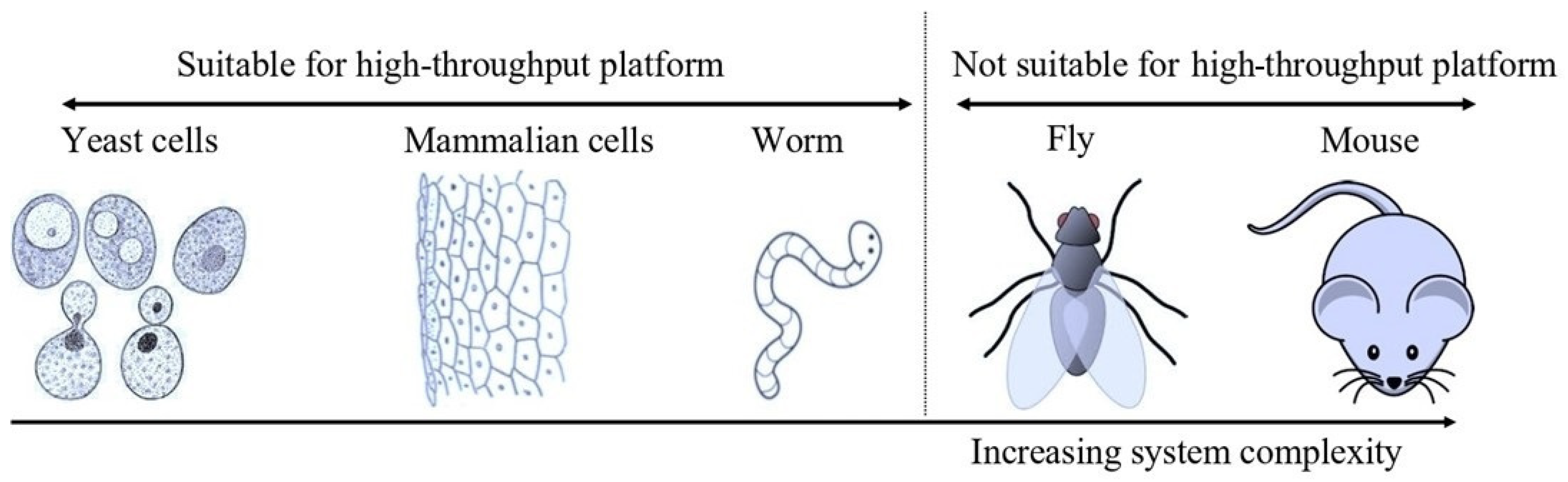 Microorganisms 12 00578 g001 Microorganisms 12 00578 g001