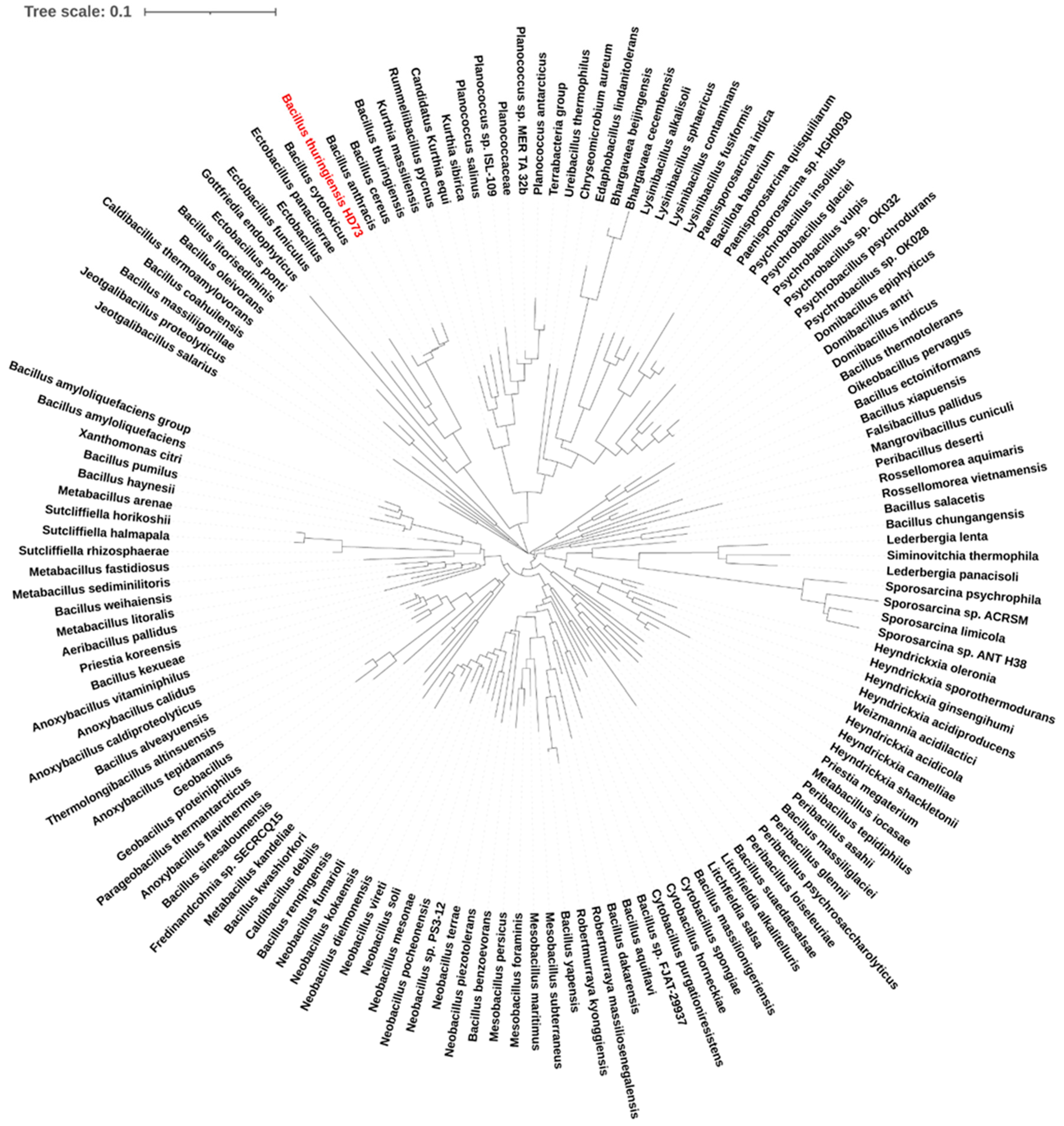 Microorganisms 12 00579 g001 Microorganisms 12 00579 g001