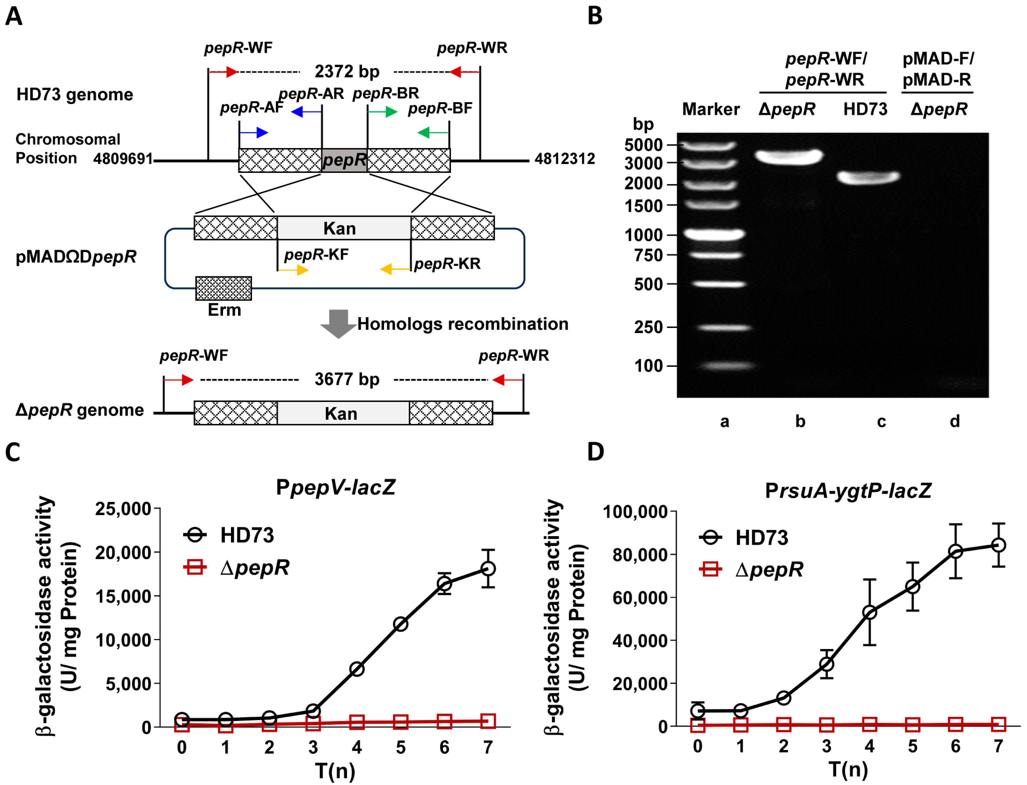 Microorganisms 12 00579 g003 Microorganisms 12 00579 g003