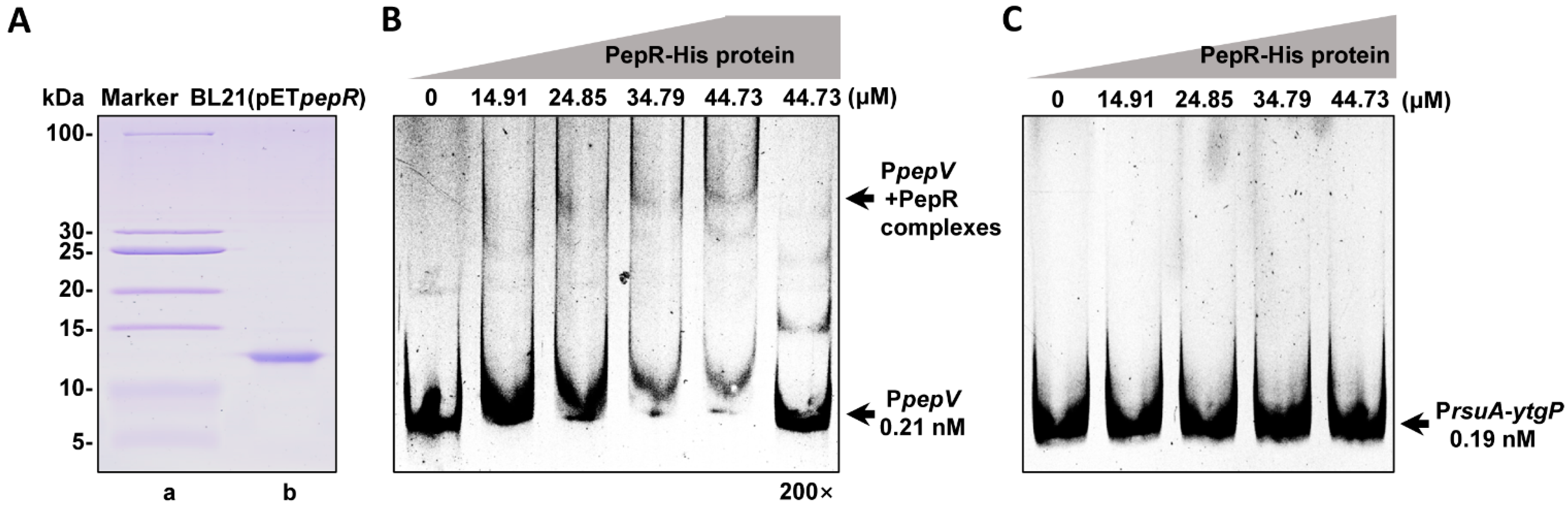 Microorganisms 12 00579 g004 Microorganisms 12 00579 g004