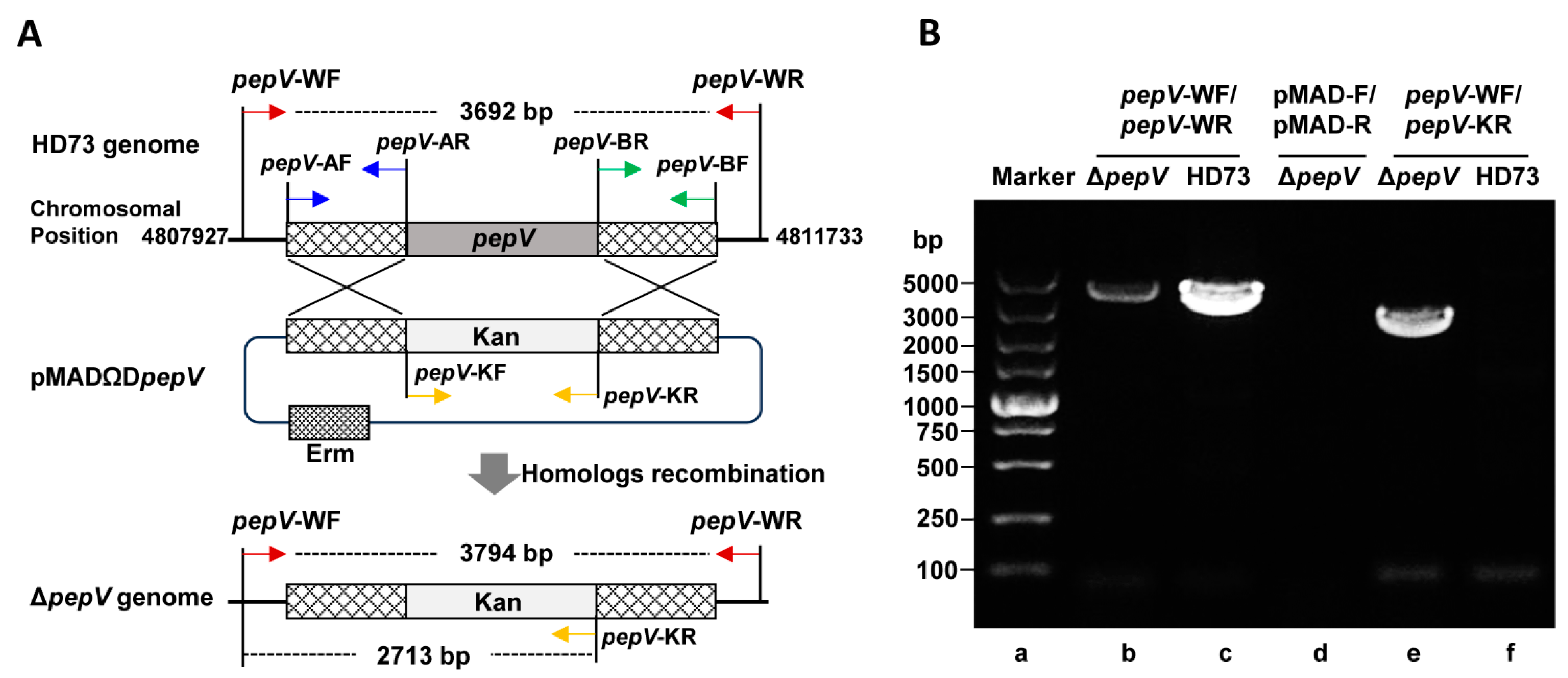 Microorganisms 12 00579 g005 Microorganisms 12 00579 g005